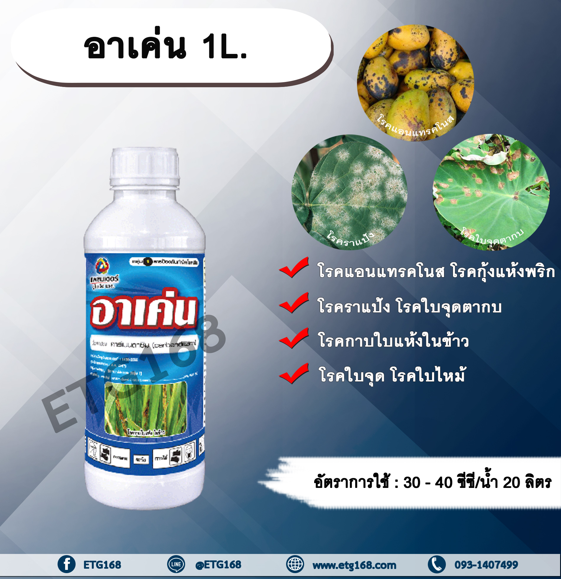 อาเค่น 1L. คาร์เบนดาซิม สารป้องกันและกำจัดเชื้อรา แบบดูดซึม โรคราแป้ง โรคแอนแทรกโนส โรคกุ้งแห้งพริก โรคใบไหม้ โรคใบจุด โรคใบจุดตากบ โรคกาบใบแห้งในข้าว โรคพืช เชื้อรา กำจัดโรคพืช