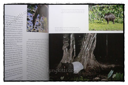 THAILAND’S NATURAL HERITAGE 021897 (1)
