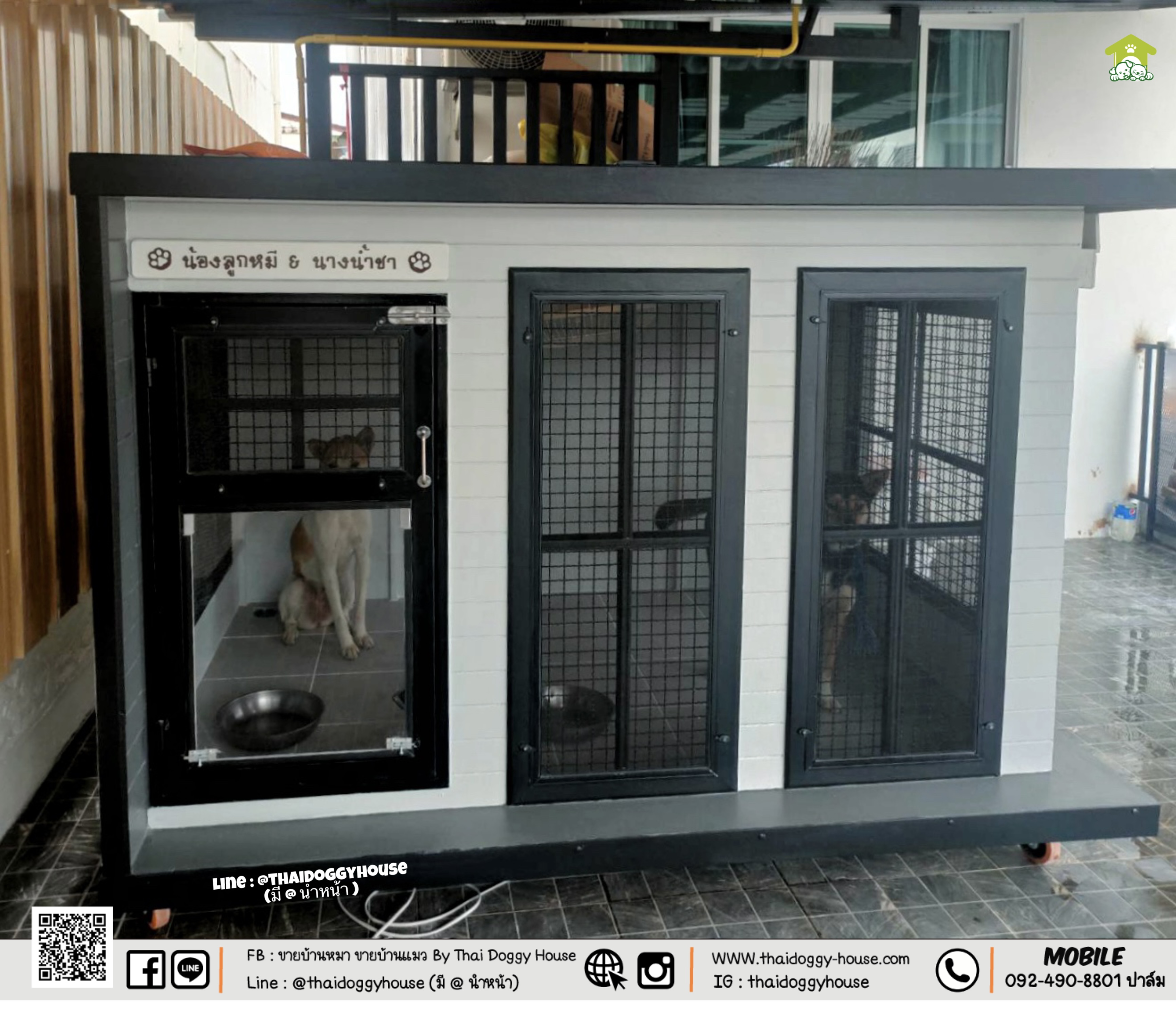 บ้านหมา บ้านแมว " 𝐁𝐎𝐗 𝐒𝐓𝐘𝐋𝐄 𝐁𝐘 𝐓𝐇𝐀𝐈 𝐃𝐎𝐆𝐆𝐘 𝐇𝐎𝐔𝐒𝐄 "