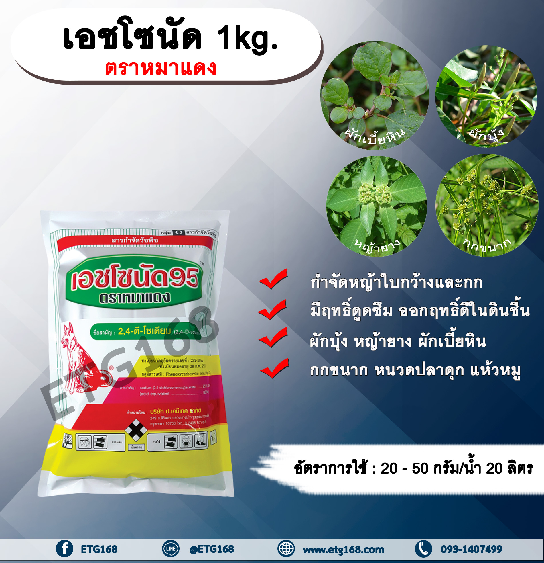 เอชโซนัด 1kg. ตราหมาแดง 24ดี โซเดียม หมาแดงผง ทูโฟดี กำจัดหญ้า แบบดูดซึม ใบกว้าง และกก กำจัดหญ้ายาง