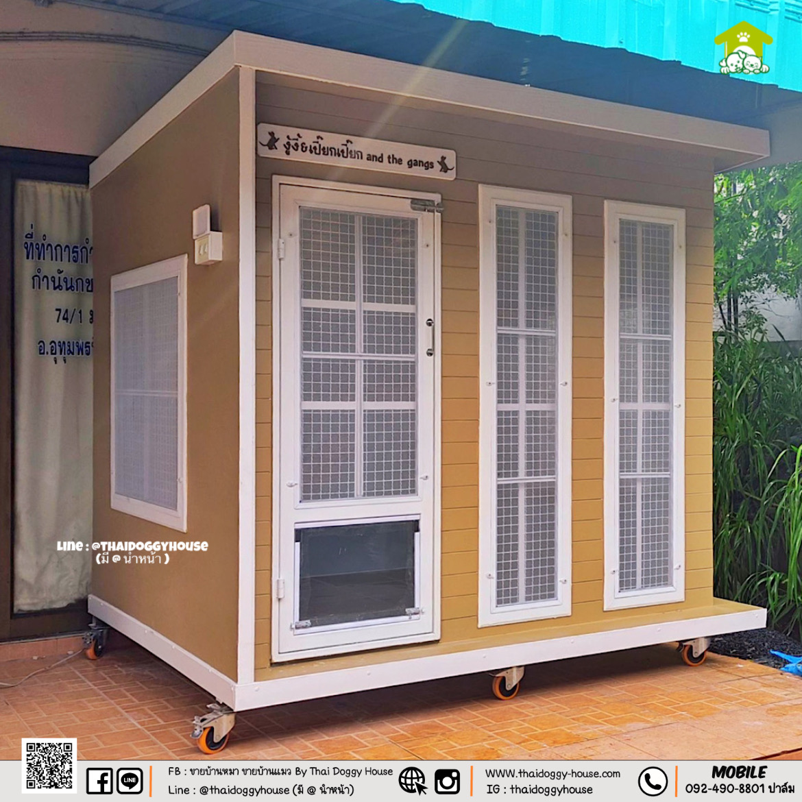 บ้านหมา บ้านแมว " 𝐁𝐎𝐗 𝐒𝐓𝐘𝐋𝐄 𝐁𝐘 𝐓𝐇𝐀𝐈 𝐃𝐎𝐆𝐆𝐘 𝐇𝐎𝐔𝐒𝐄 "
