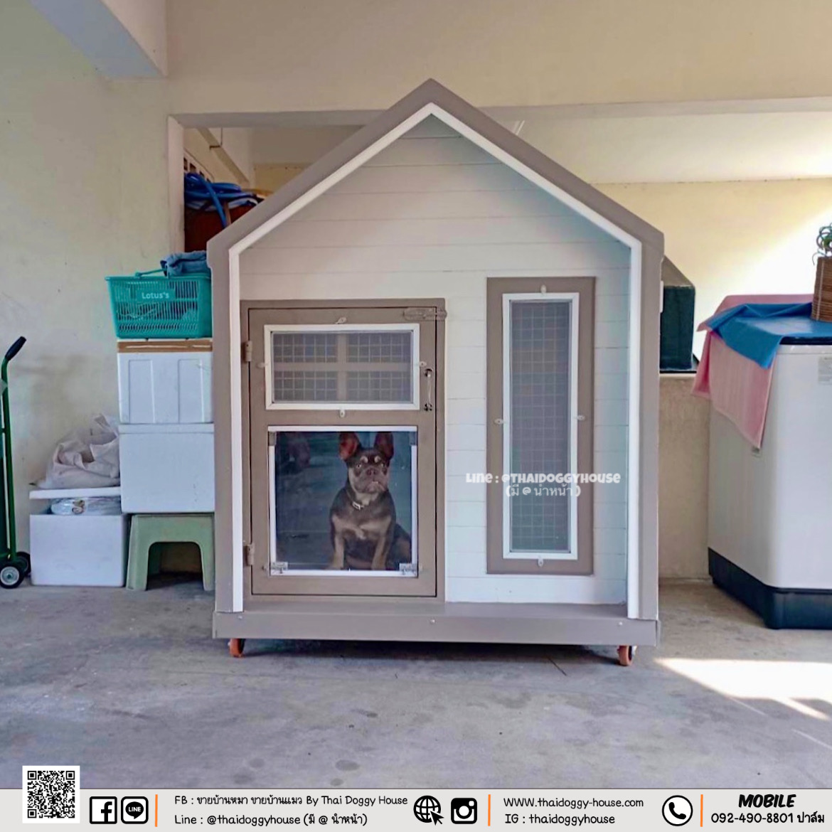 บ้านหมา บ้านแมว Thai doggy house