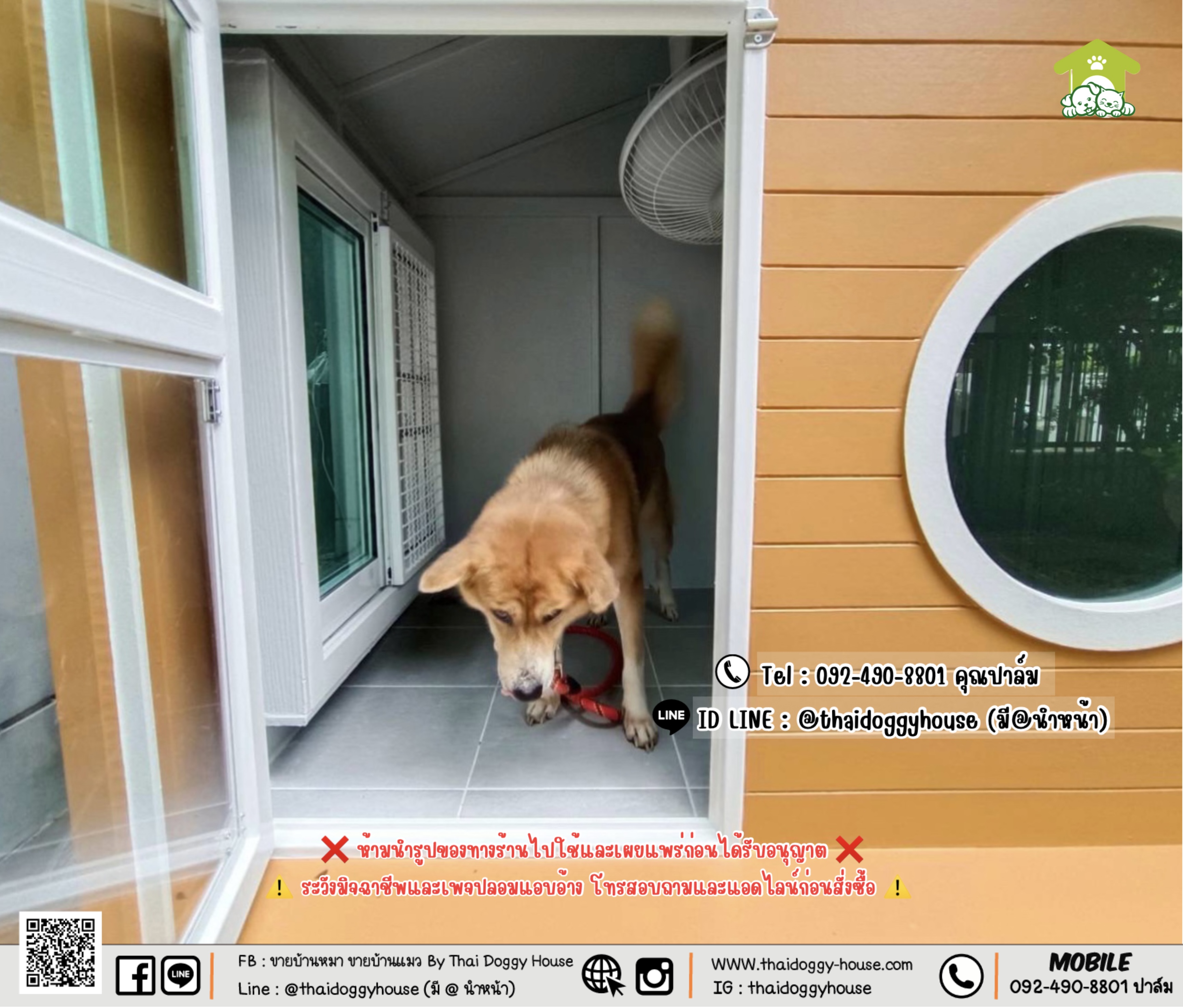 บ้านหมา บ้านแมว 𝐓𝐇𝐀𝐈 𝐃𝐎𝐆𝐆𝐘 𝐇𝐎𝐔𝐒𝐄