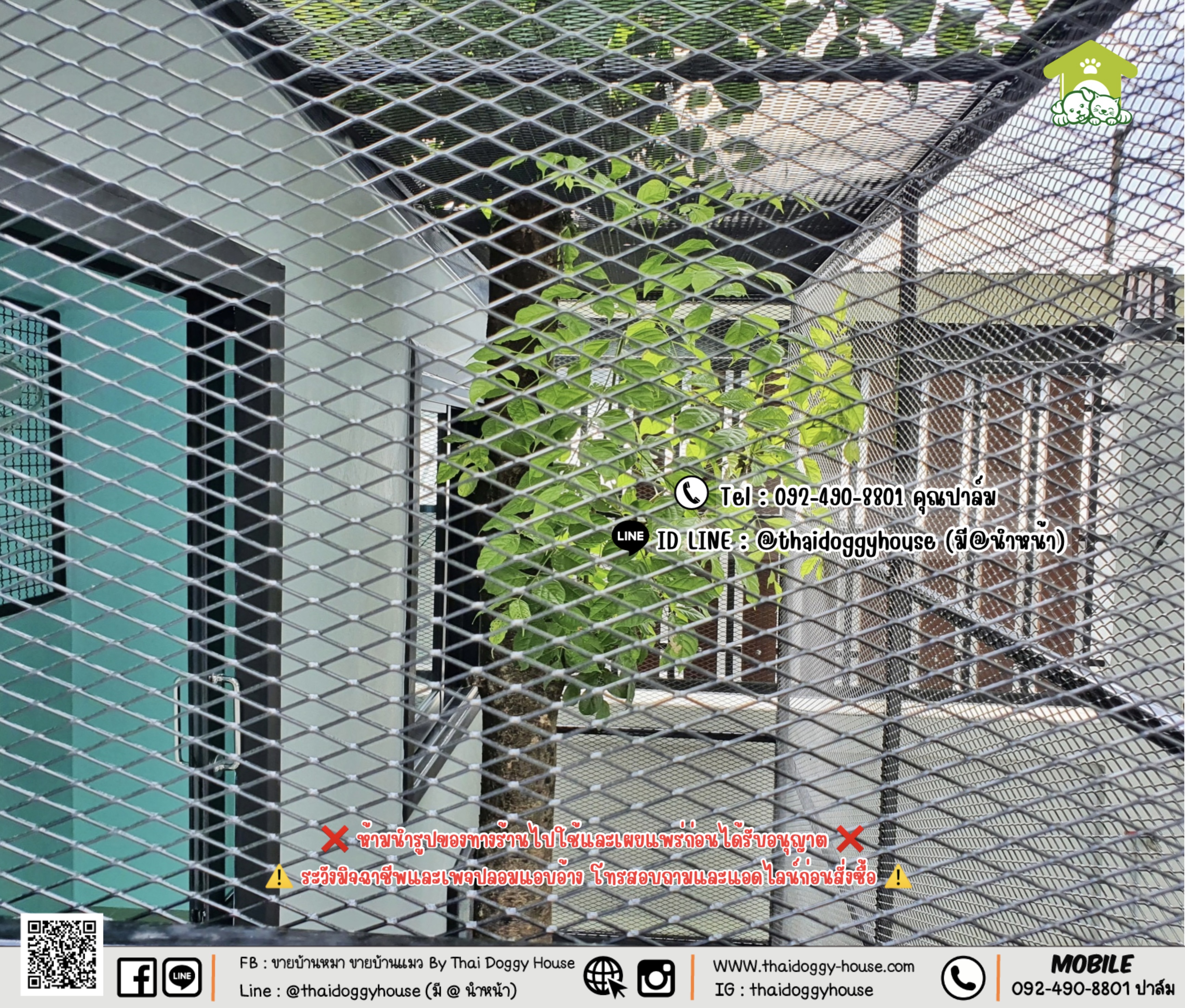 บ้านหมา บ้านแมว 𝐓𝐡𝐚𝐢 𝐝𝐨𝐠𝐠𝐲 𝐡𝐨𝐮𝐬𝐞 แบบบ้าน 𝐁𝐨𝐱 𝐒𝐭𝐲𝐥𝐞 #บ้านกระจกรองรับการติดแอร์