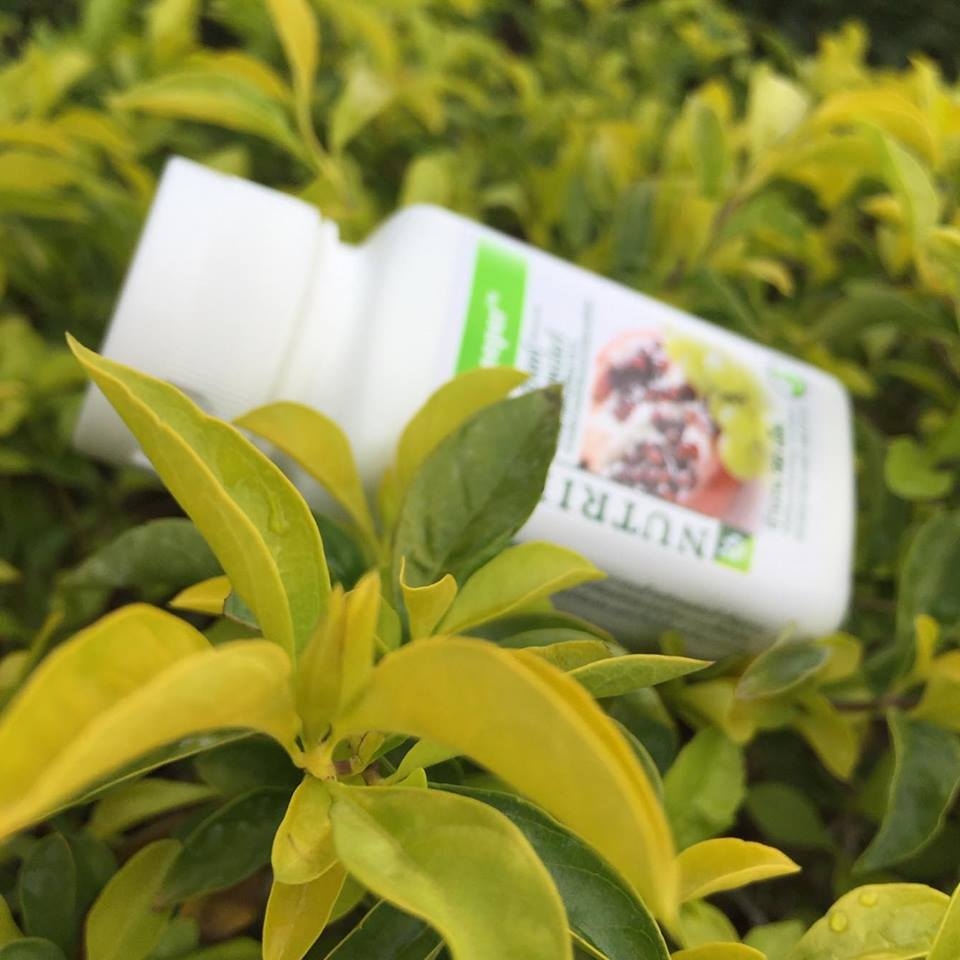 (จากช็อปไทย )ออสคีพเปอร์ แอมเวย์ ผลิตภัณฑ์เสริมอาหาร สารสกัดจากผลทับทิมและสารสกัดจากเมล็ดองุ่น