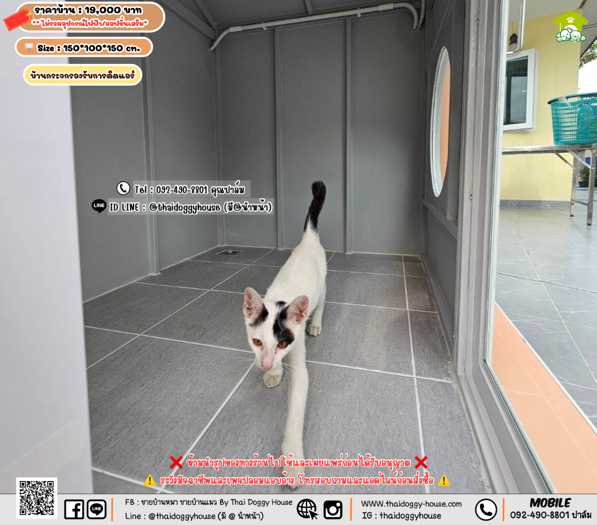 บ้านหมา บ้านแมว 𝐓𝐡𝐚𝐢 𝐝𝐨𝐠𝐠𝐲 𝐡𝐨𝐮𝐬𝗲