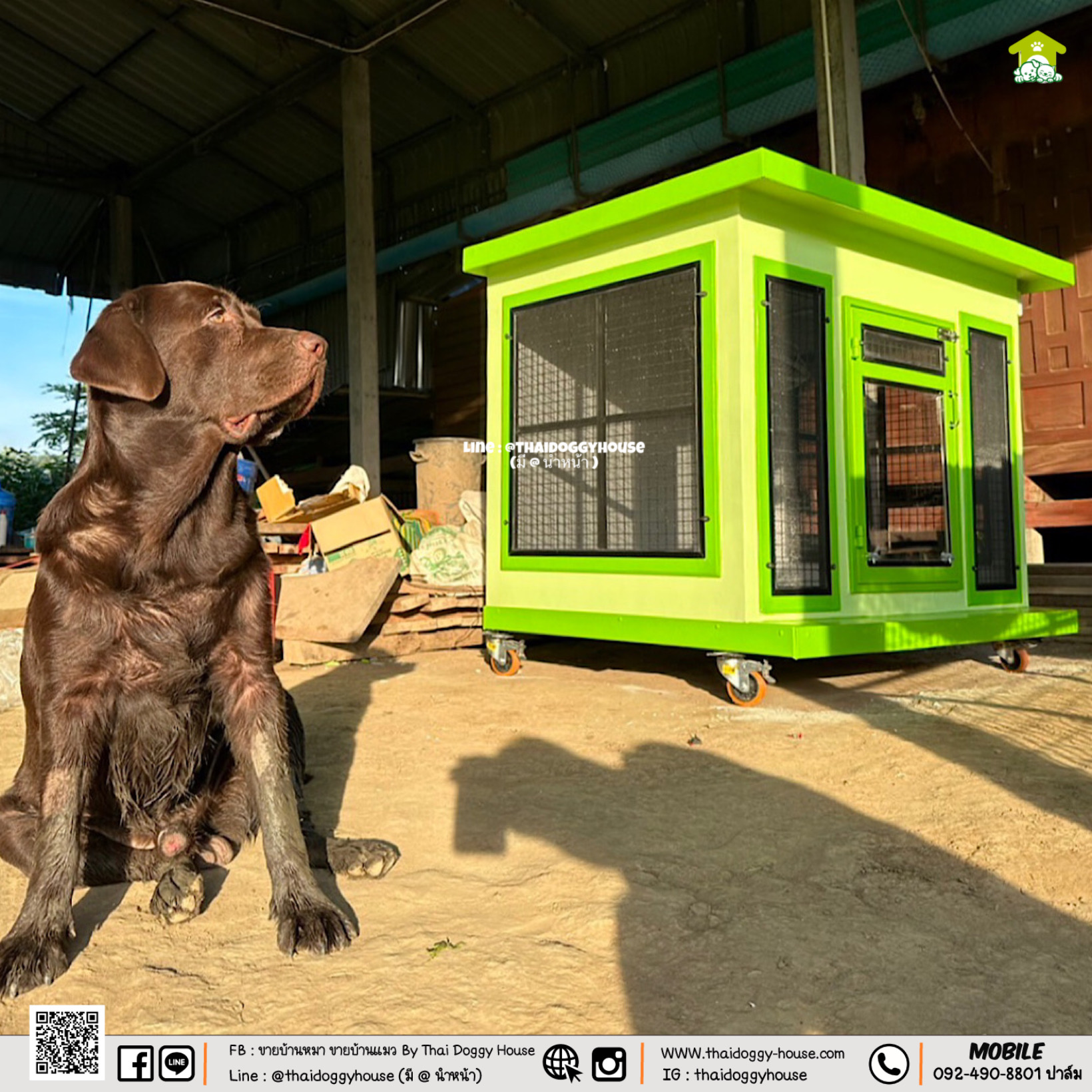 บ้านหมา บ้านแมว " 𝐁𝐎𝐗 𝐒𝐓𝐘𝐋𝐄 𝐁𝐘 𝐓𝐇𝐀𝐈 𝐃𝐎𝐆𝐆𝐘 𝐇𝐎𝐔𝐒𝐄 "