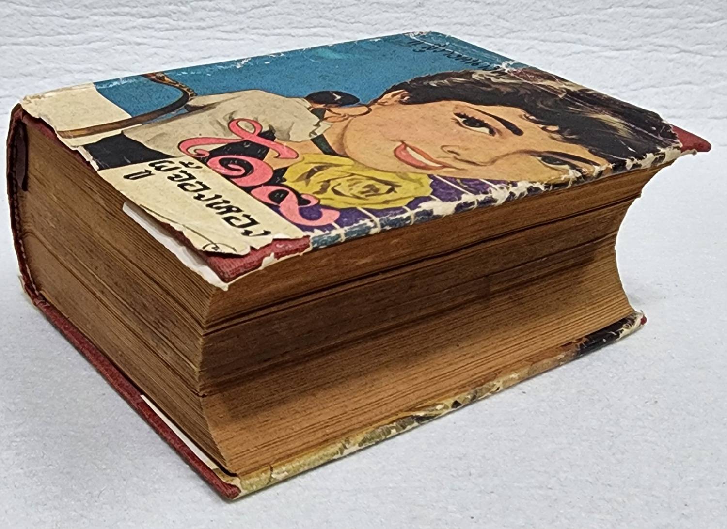 โดมผู้จองหอง (เล่มเดียวจบ) / ก. สุรางคนางค์ SKU-09954 2