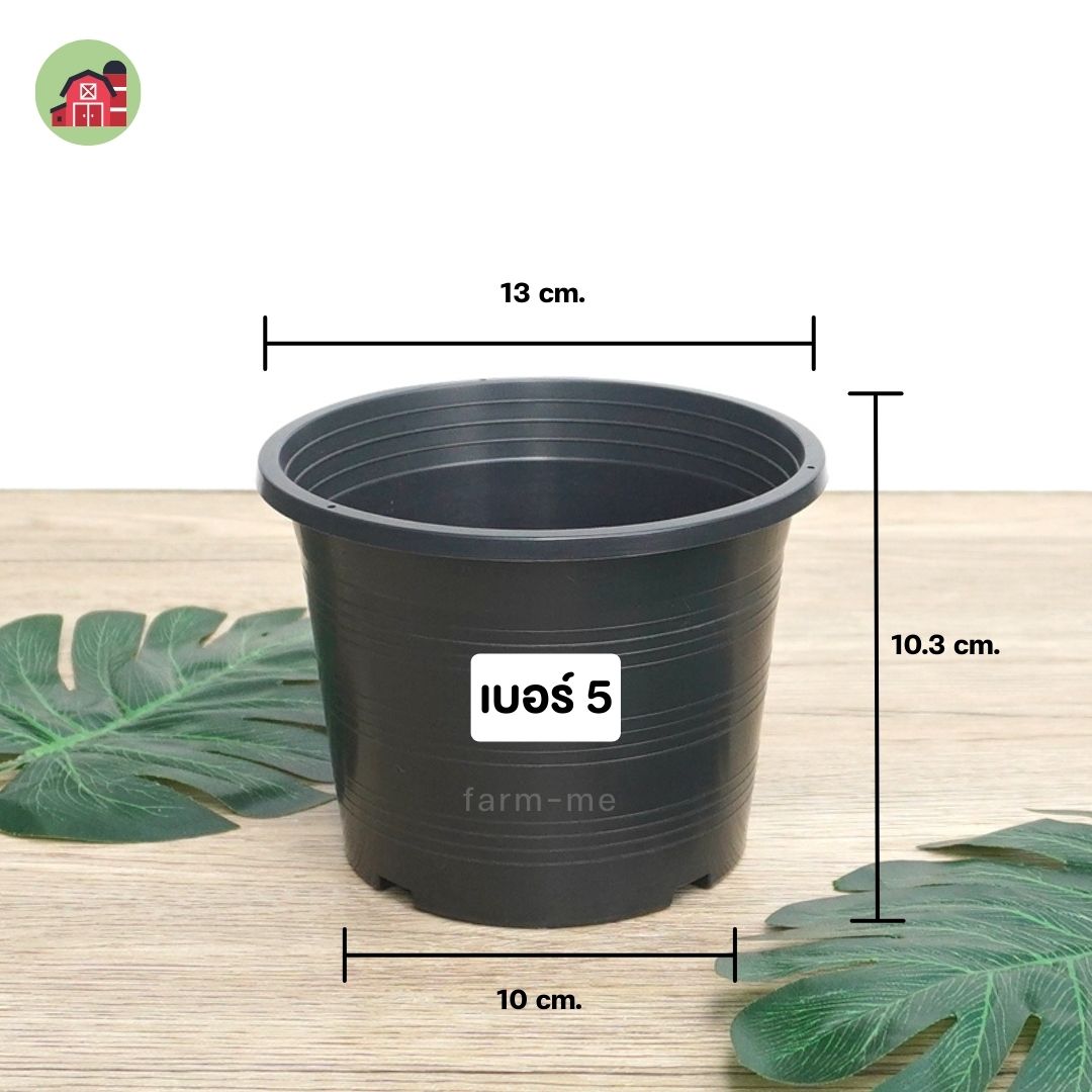 กระถางต้นไม้ กลมดำ เบอร์5