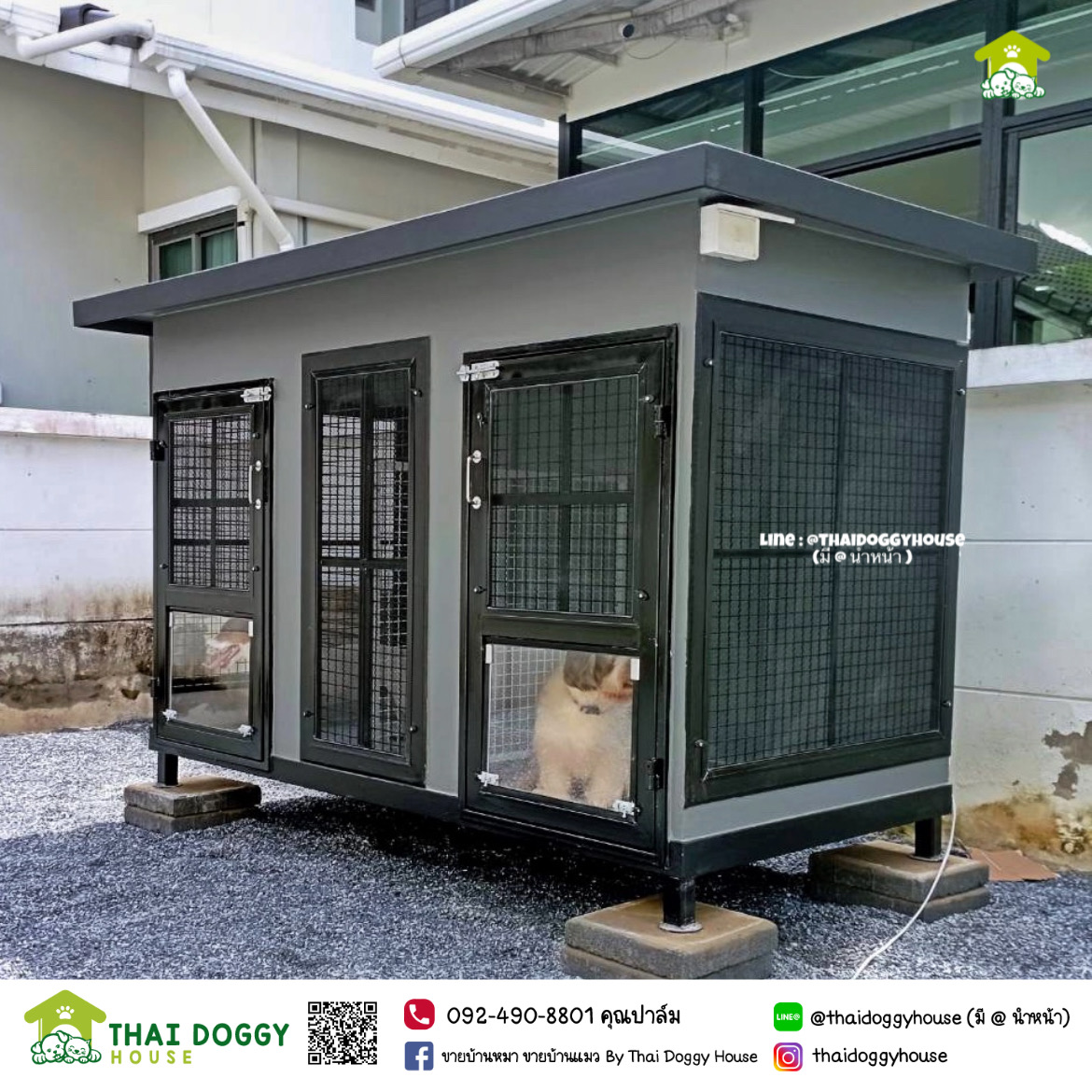 บ้านหมา บ้านแมว " 𝐁𝐎𝐗 𝐒𝐓𝐘𝐋𝐄 𝐁𝐘 𝐓𝐇𝐀𝐈 𝐃𝐎𝐆𝐆𝐘 𝐇𝐎𝐔𝐒𝐄 " &#x