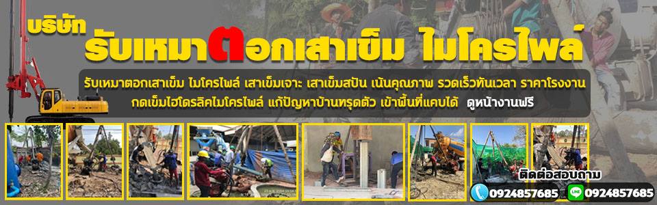 เข็มเจาะไมโครไพล์