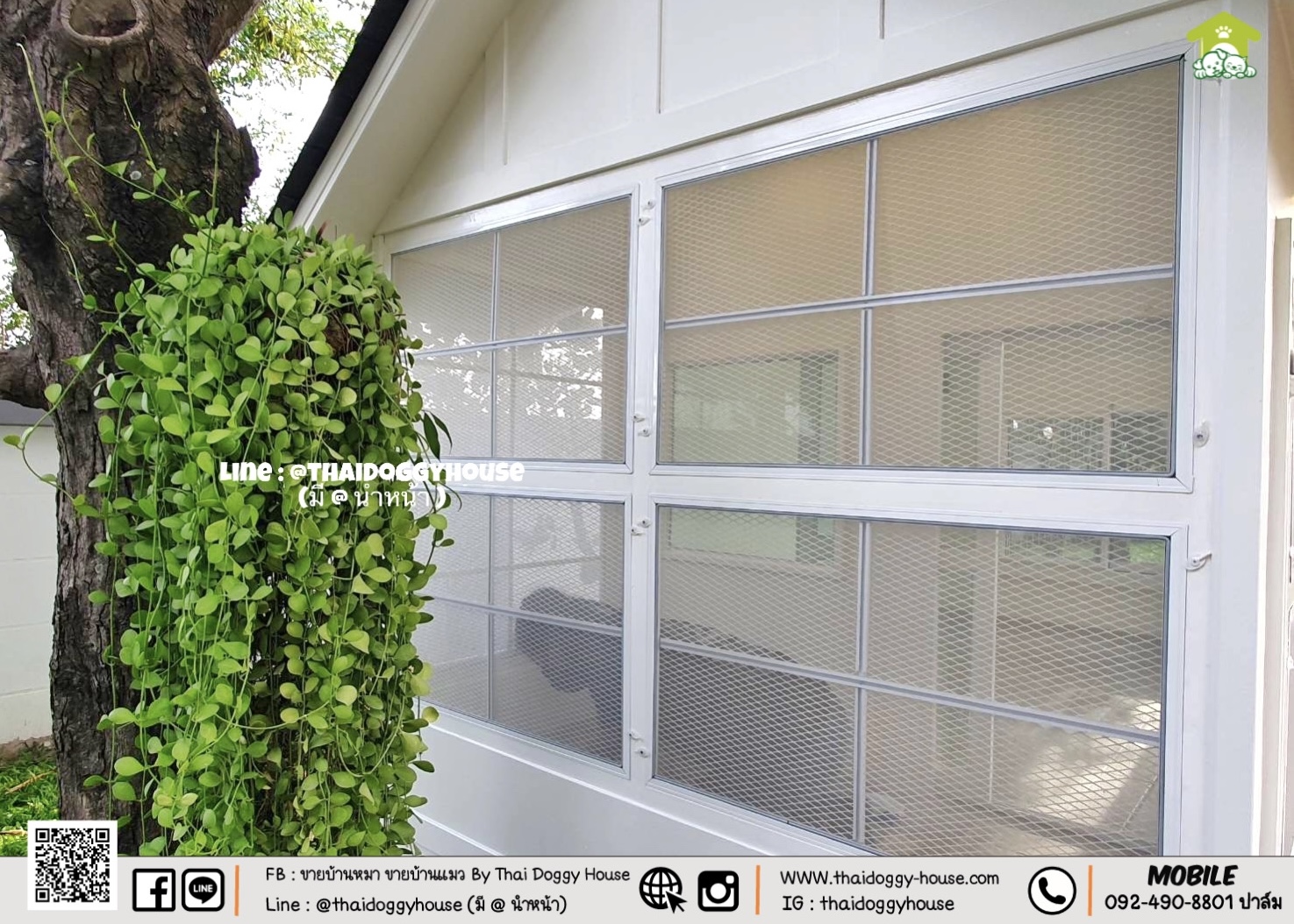 🏡 🐈 บ้านแมวติดแอร์ " 𝐍𝐎𝐑𝐃𝐈𝐂 𝐒𝐓𝐘𝐋𝐄 " ฟังก์ชั่นครบ หลังใหญ่ กระจกบานใหญ่เปิดรับแสงธรรมชาติได้ดี โทนบ้านสีขาวทำให้ดูเรียบง่าย สบายตามากขึ้น 