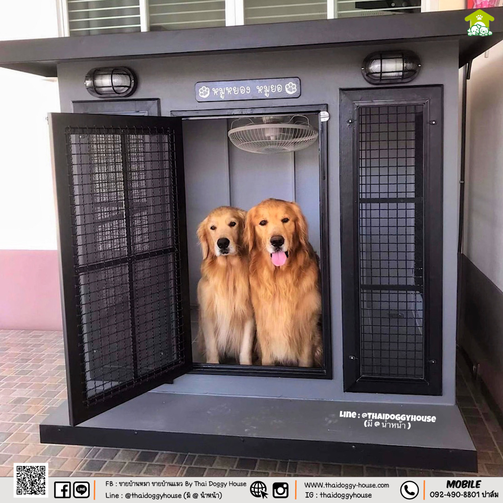 บ้านหมา บ้านแมว " 𝐁𝐎𝐗 𝐒𝐓𝐘𝐋𝐄 𝐁𝐘 𝐓𝐇𝐀𝐈 𝐃𝐎𝐆𝐆𝐘 𝐇𝐎𝐔𝐒𝐄 "