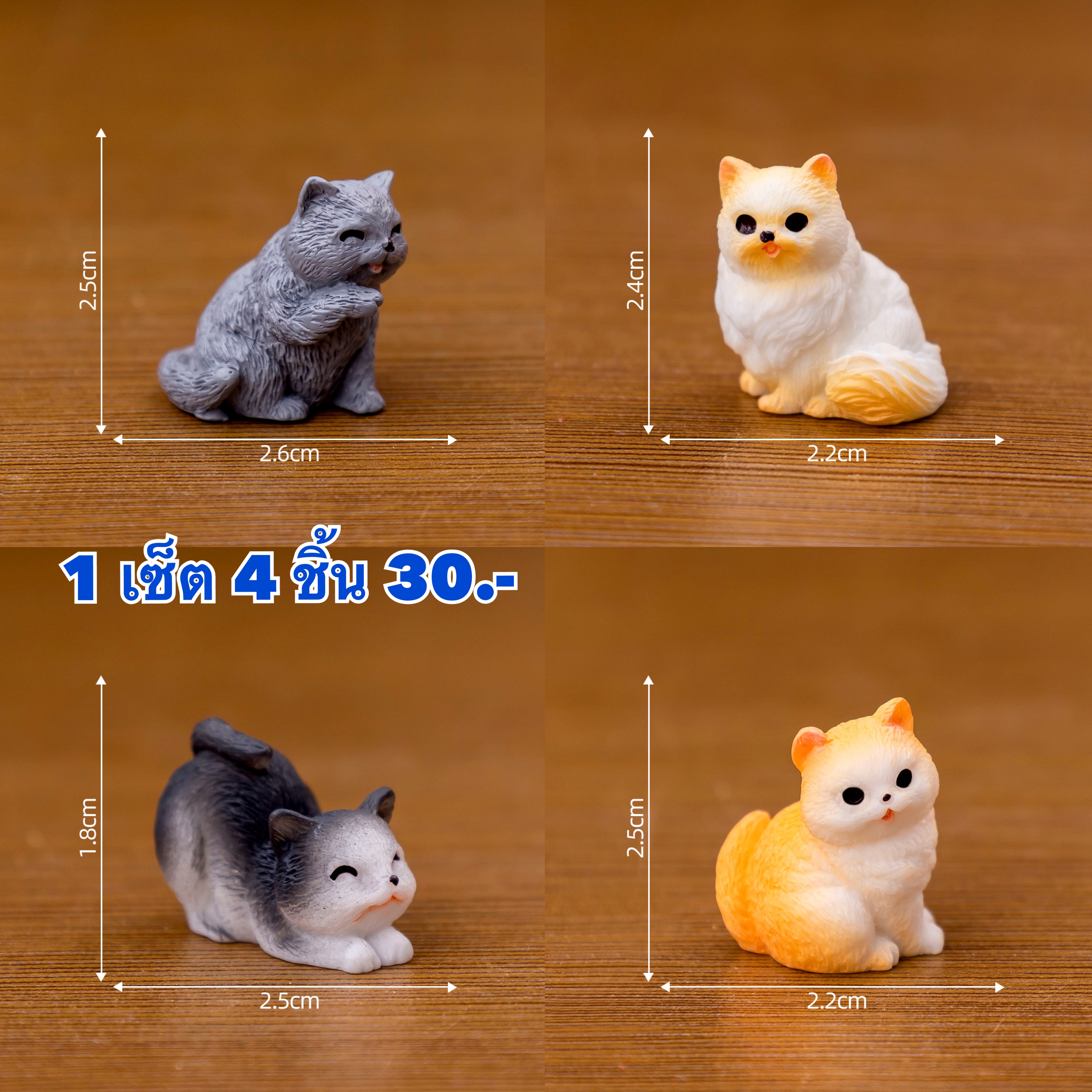 แมว 4 ชิ้น