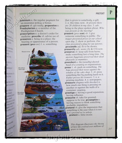 Illustrated Dictionary 021883 (1)