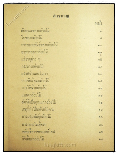 กล้วยไม้ 023267