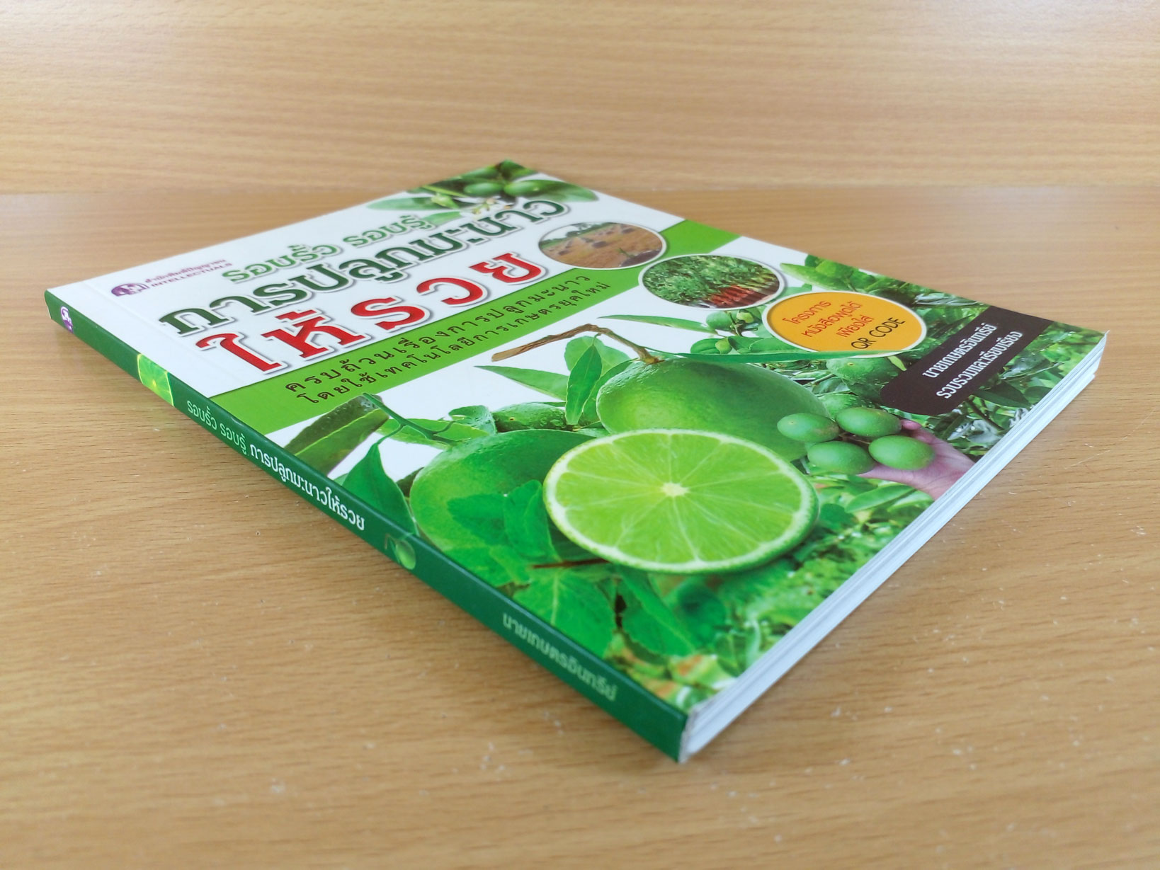 รอบรั้ว รอบรู้ การปลูกมะนาวให้รวย