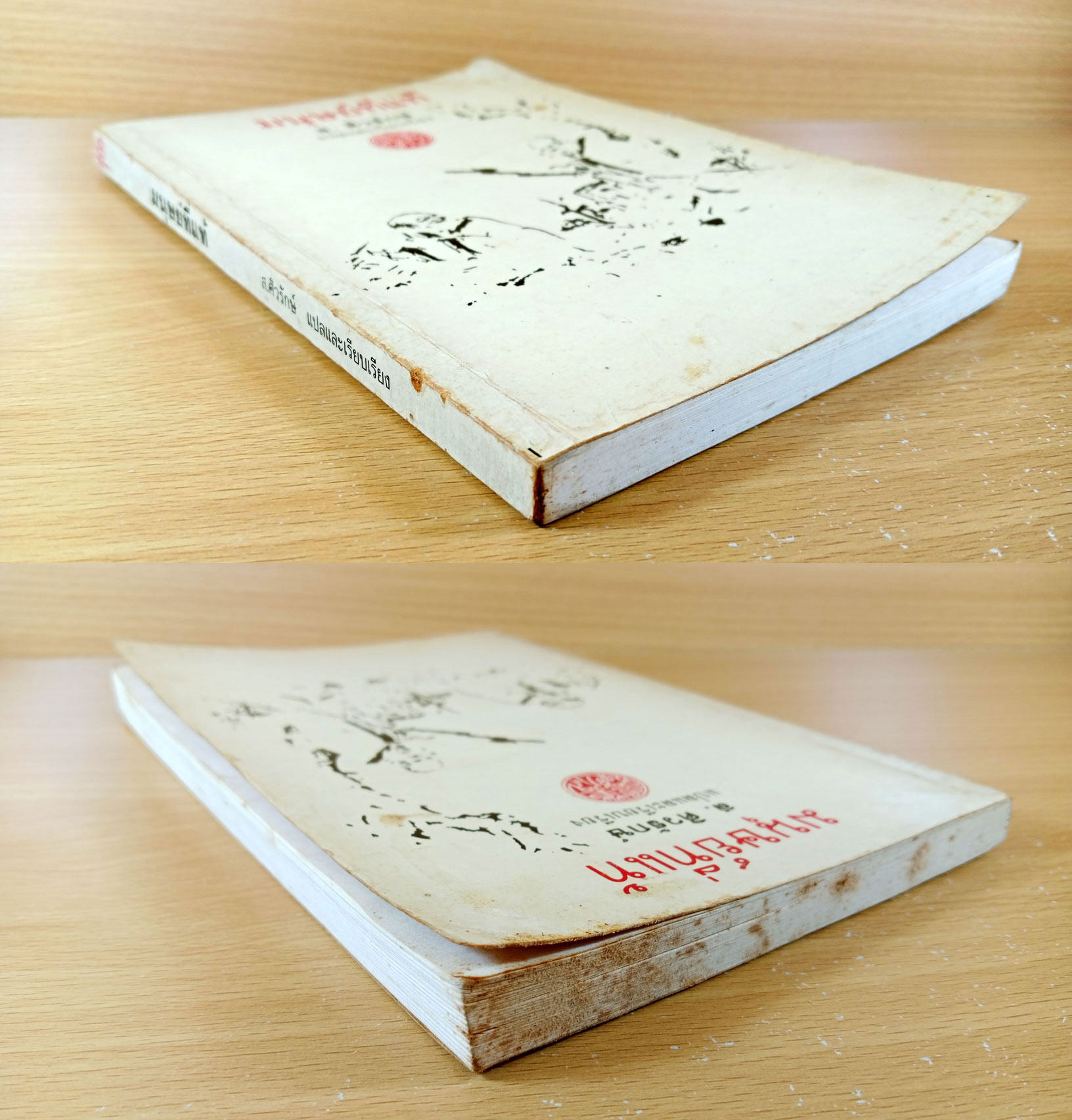 มนุษย์ที่แท้ มรรควิถีของจากจื้อ โดย ส.ศิวรักษ์