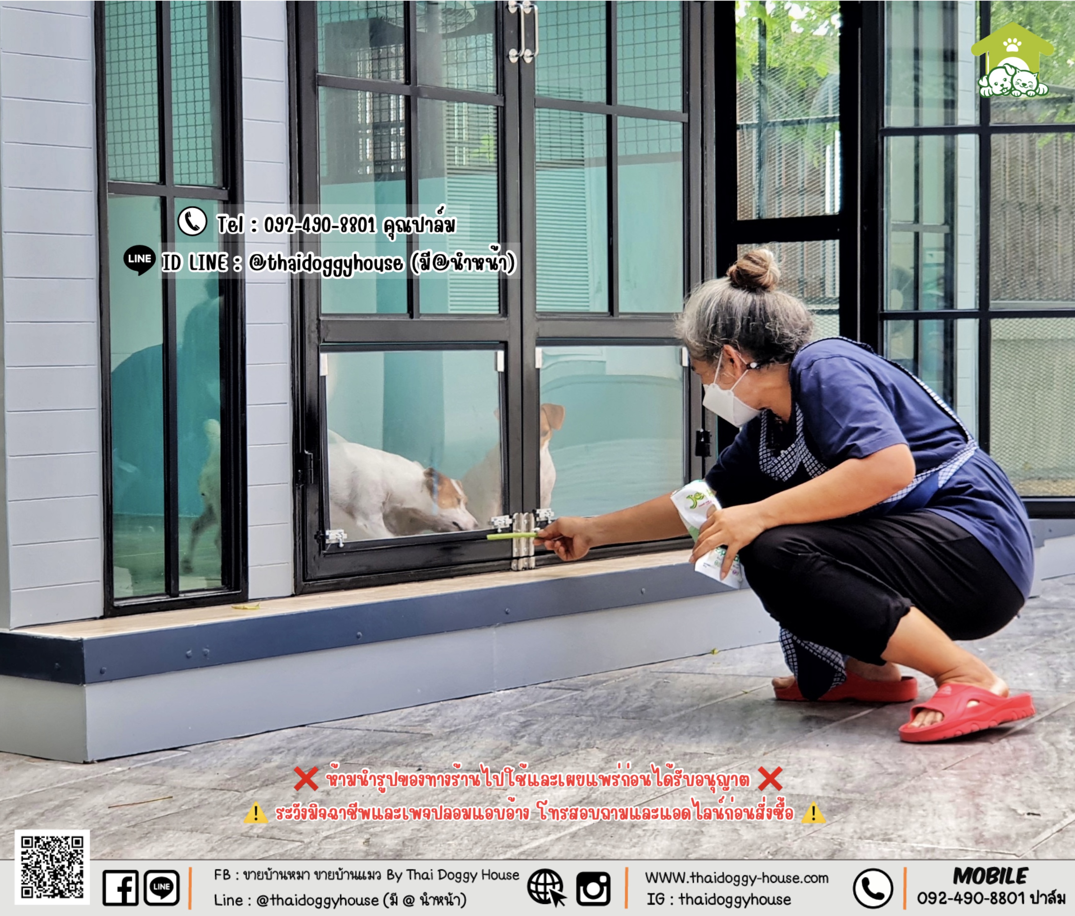 บ้านหมา บ้านแมว 𝐓𝐡𝐚𝐢 𝐝𝐨𝐠𝐠𝐲 𝐡𝐨𝐮𝐬𝐞 แบบบ้าน 𝐁𝐨𝐱 𝐒𝐭𝐲𝐥𝐞 #บ้านกระจกรองรับการติดแอร์