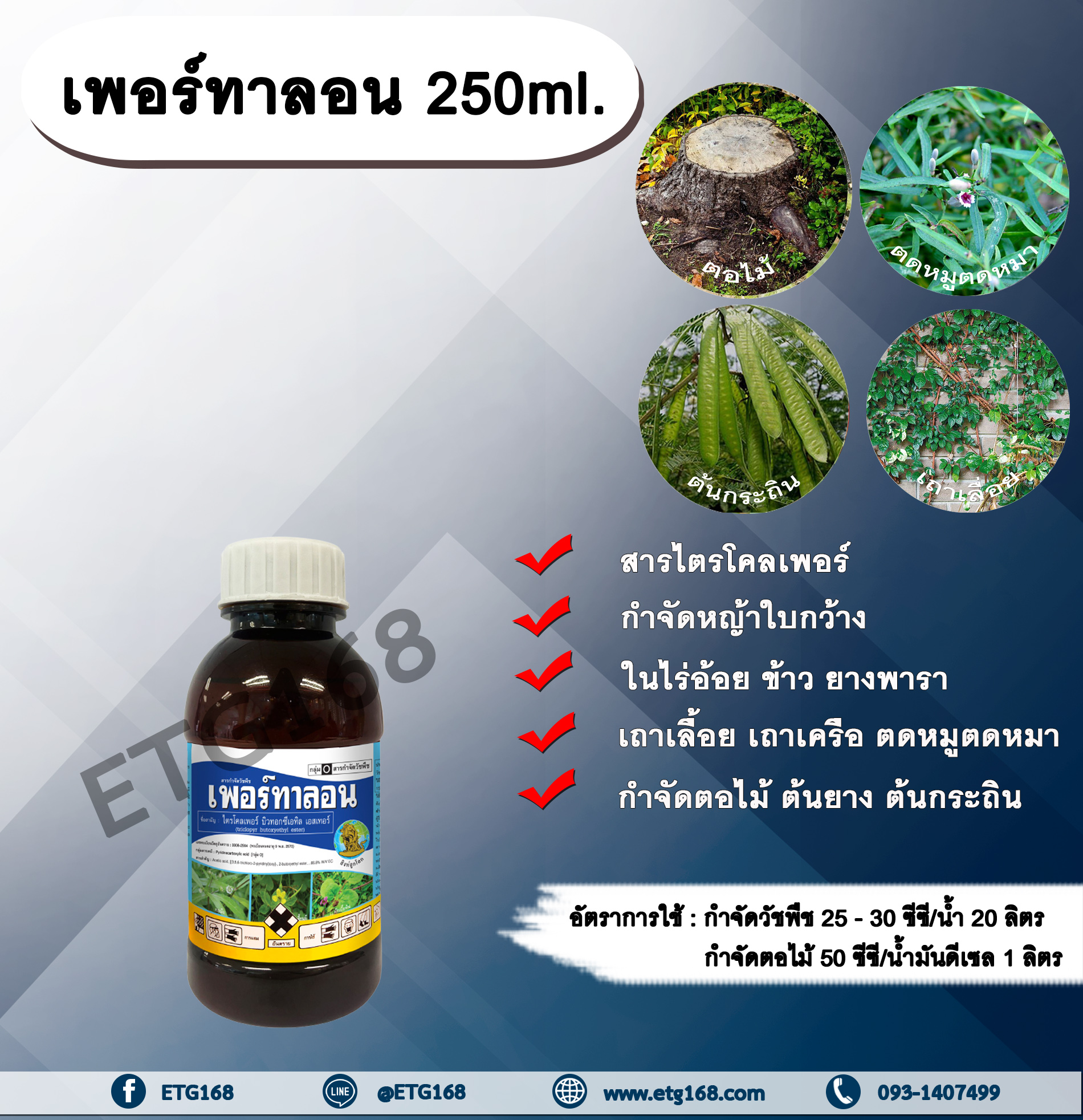 เพอร์ทาลอน 250ml. สารกำจัดวัชพืช สารกำจัดหญ้า หญ้าใบกว้าง เถาเลื้อย เถาเครือ ตดหมูตดหมา กำจัดตอไม้ ต้นไม้ ต้นยาง ต้นกระถิน ทาตอไม้ ทาต้นไม้ ดูดซึม