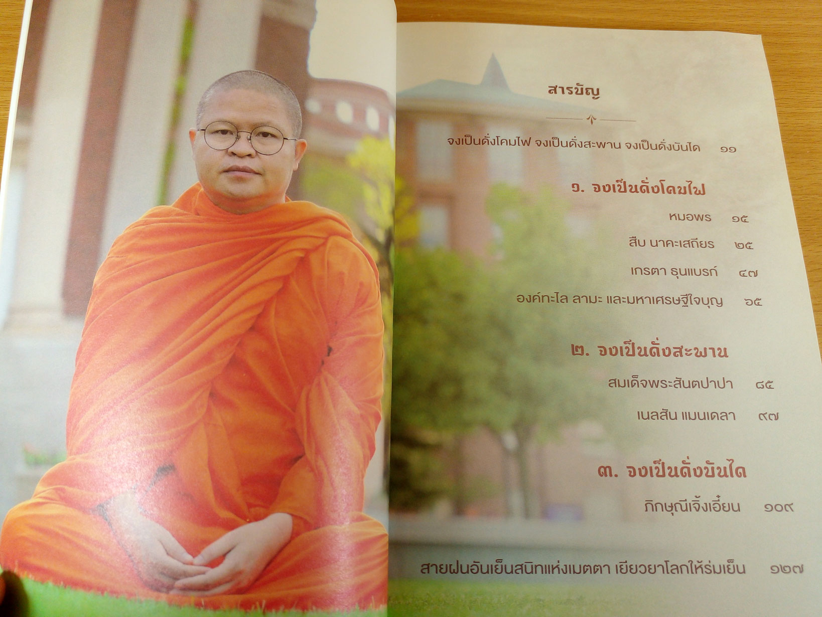 เมตตาธรรมค้ำจุนโลก Compassion in Action