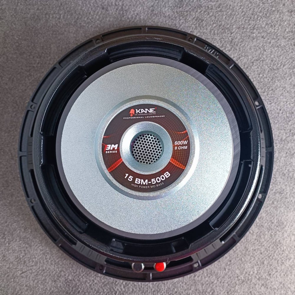 KANE 15BM-500B ลำโพง15นิ้ว โครงหล่อ ดอกลำโพง 15" คาเน่ KA NE รุ่น 15BM 500B 15BM500B เอไอ-ไพศาล