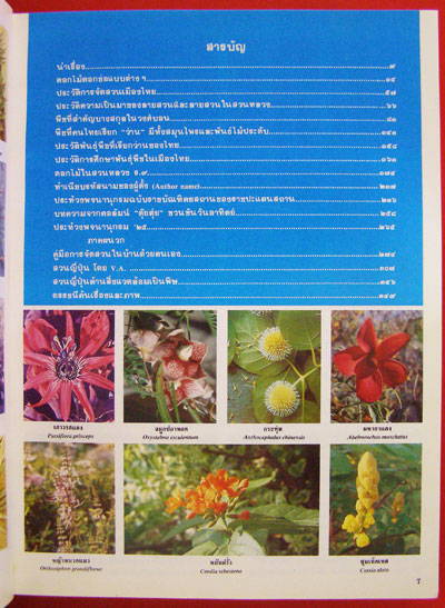ไม้ประดับสวนหลวงและประวัติการจัดสวนเมืองไทย 002883 (1)