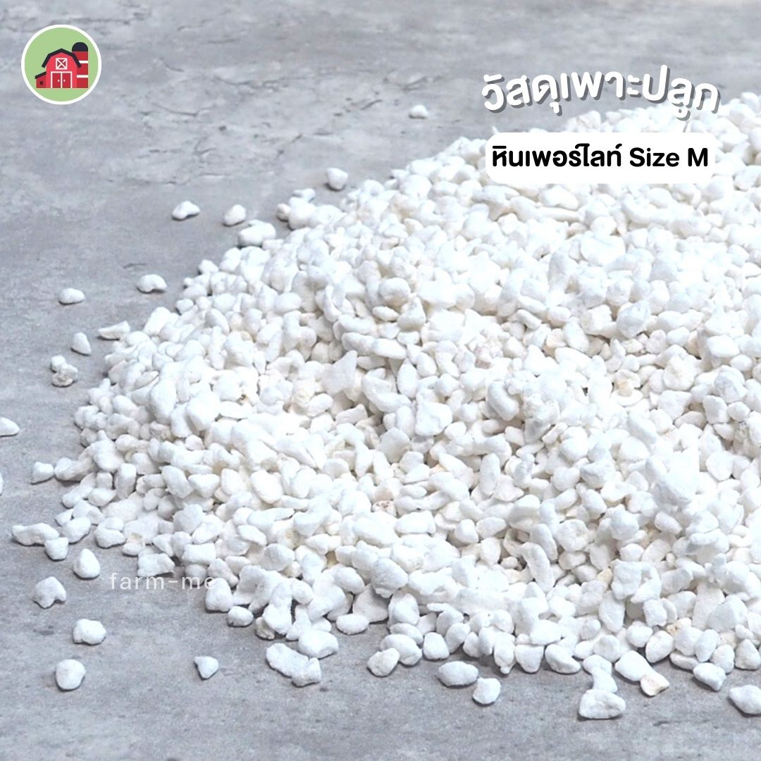 หินเพอร์ไลต์