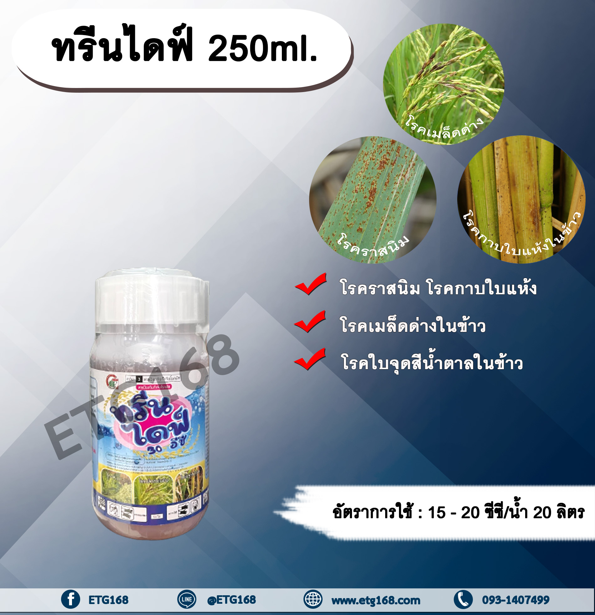 ทรีนไดฟ์ 250ml. ไดฟีโนโคนาโซล+โพรพิโคนาโซล สารกำจัดเชื้อรา โรคเมล็ดด่าง โรคราสนิม โรคใบจุดสีน้ำตาล โรคกาบใบแห้ง กรีนลีฟส์