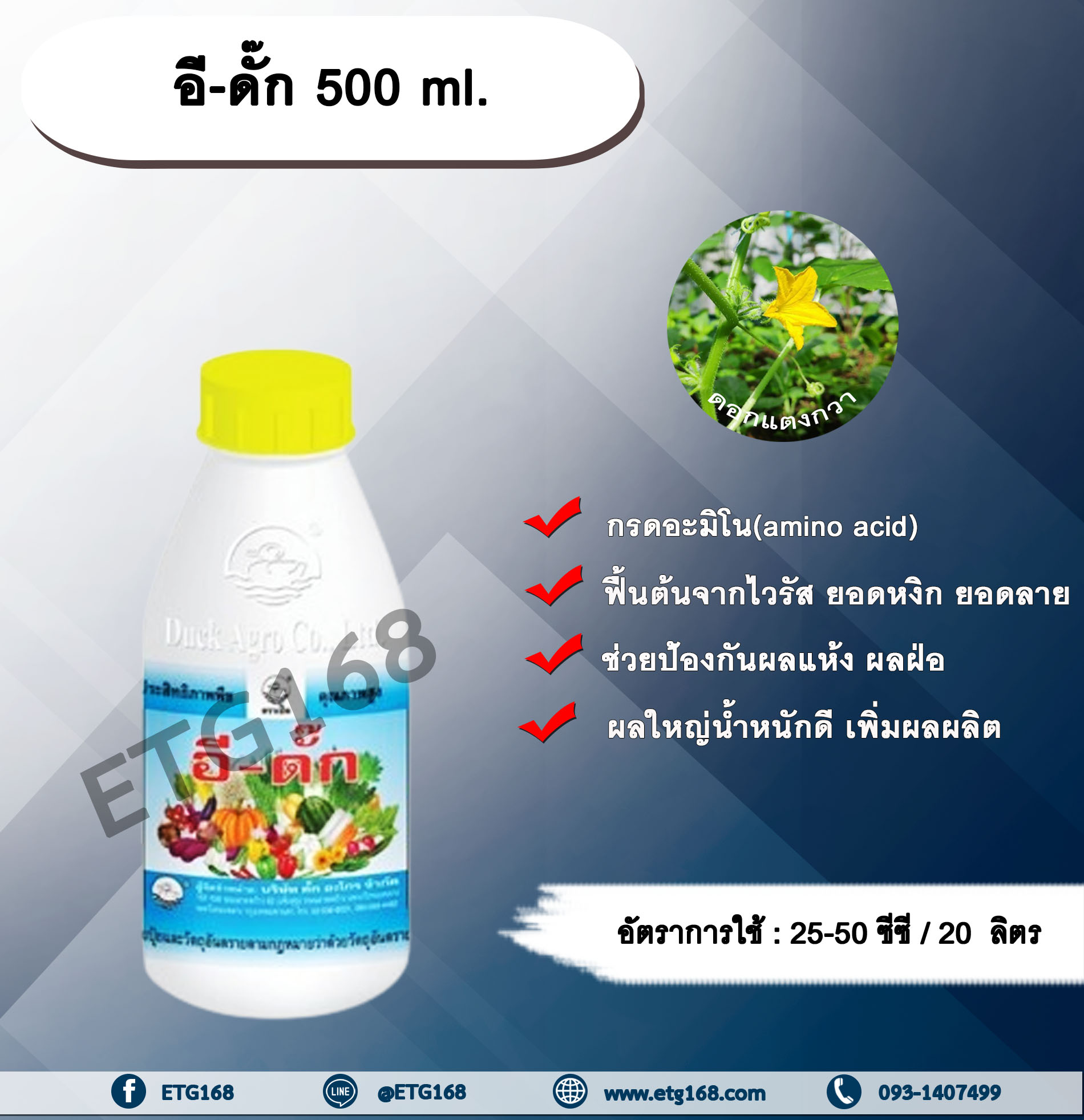 อี - ดั๊ก 500 ml. กรดอะมิโน ฟื้นต้นจากไวรัส ยอดหงิก ยอดลาย ช่วยป้องกันผลแห้ง ผลฝ่อ ผลใหญ่น้ำหนักดี เพิ่มผลผลิต