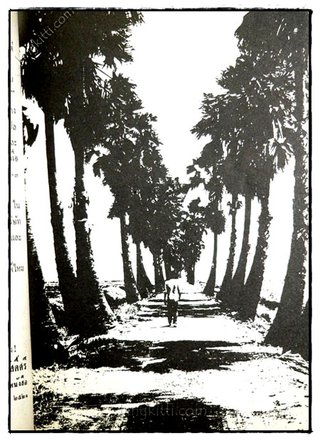 โลกหนังสือ ฉบับเรื่องสั้นวันเวลาที่ผ่านเลย ชุดที่ 1 023592