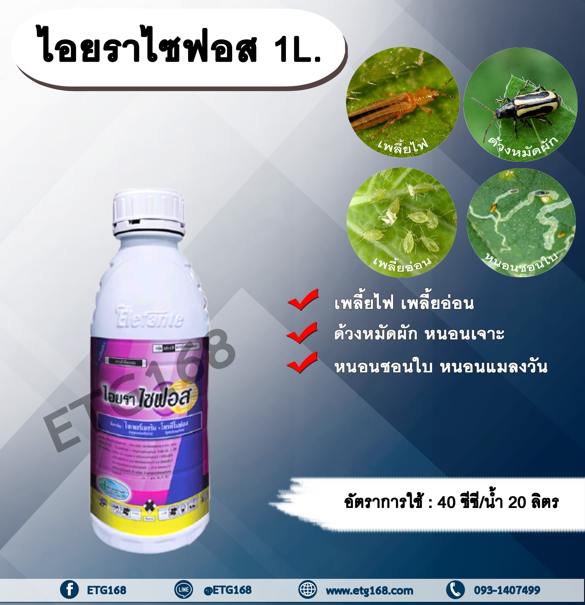 ไอยราไซฟอส 1L. ไซเพอร์เมทริน + โพรฟีโนฟอส สารกำจัดแมลง สารกำจัดหนอน เพลี้ยไฟ เพลี้ยอ่อน ด้วงหมัดผัก หนอนชอนใบ หนอนเจาะ หนอนแมลงวัน