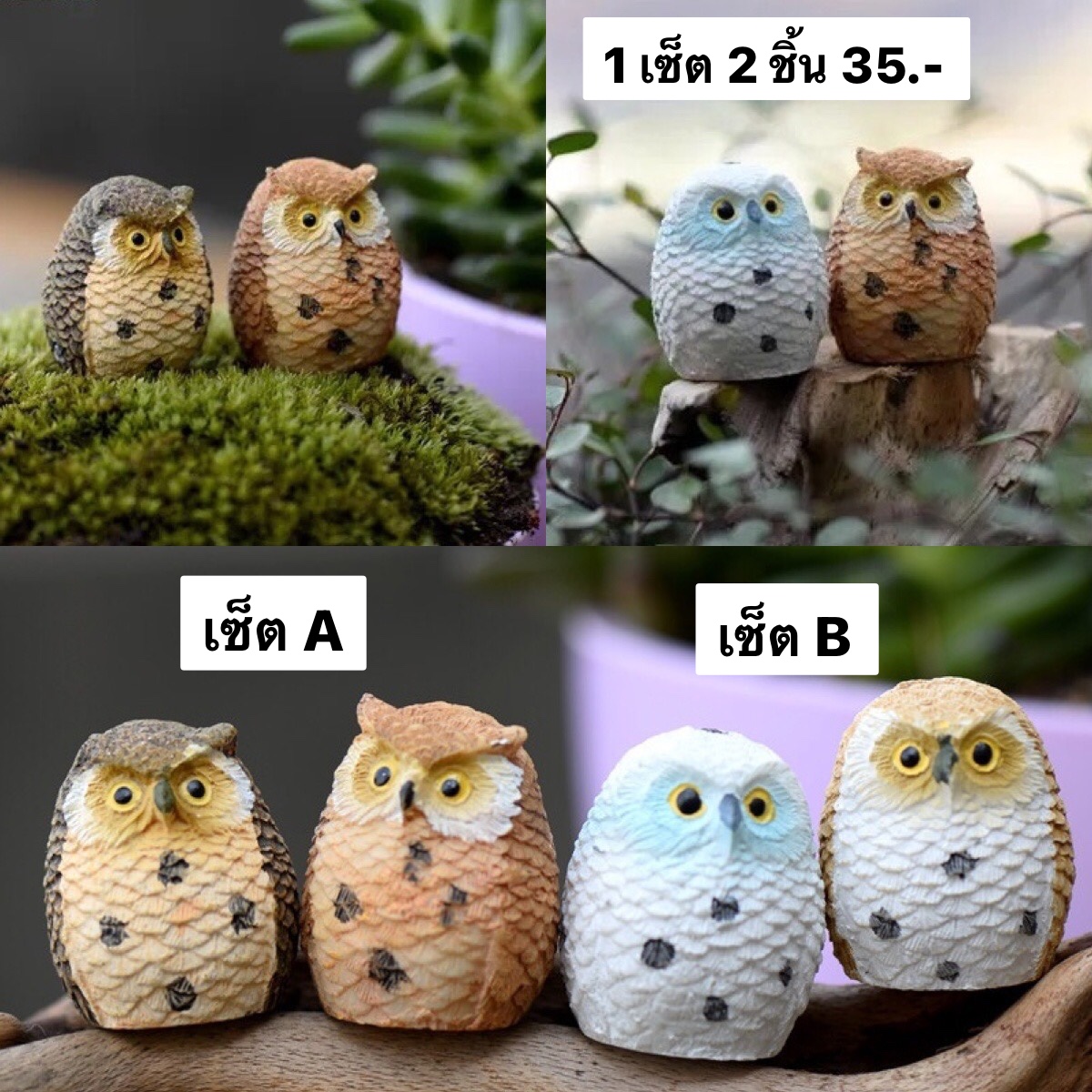 นกฮูก