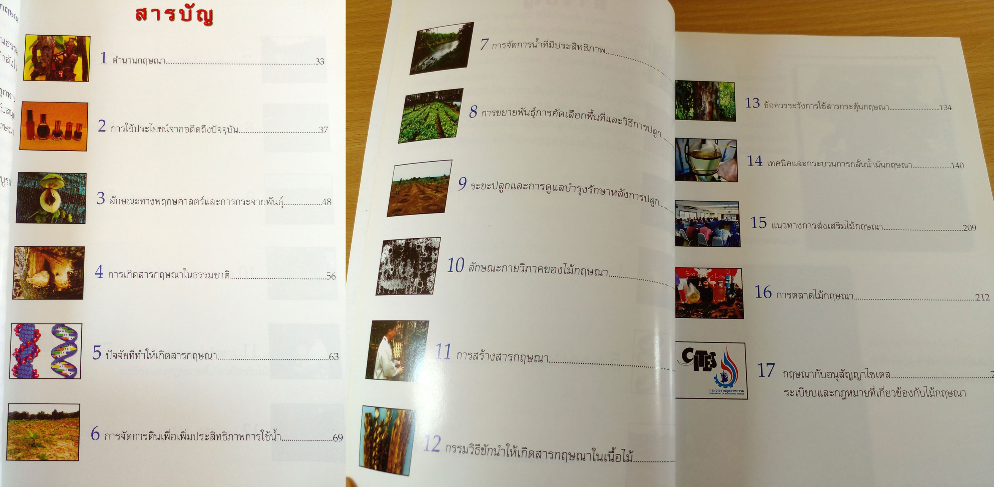 ไม้กฤษณาปลูก ต้นละหมื่น ไร่เป็นล้าน