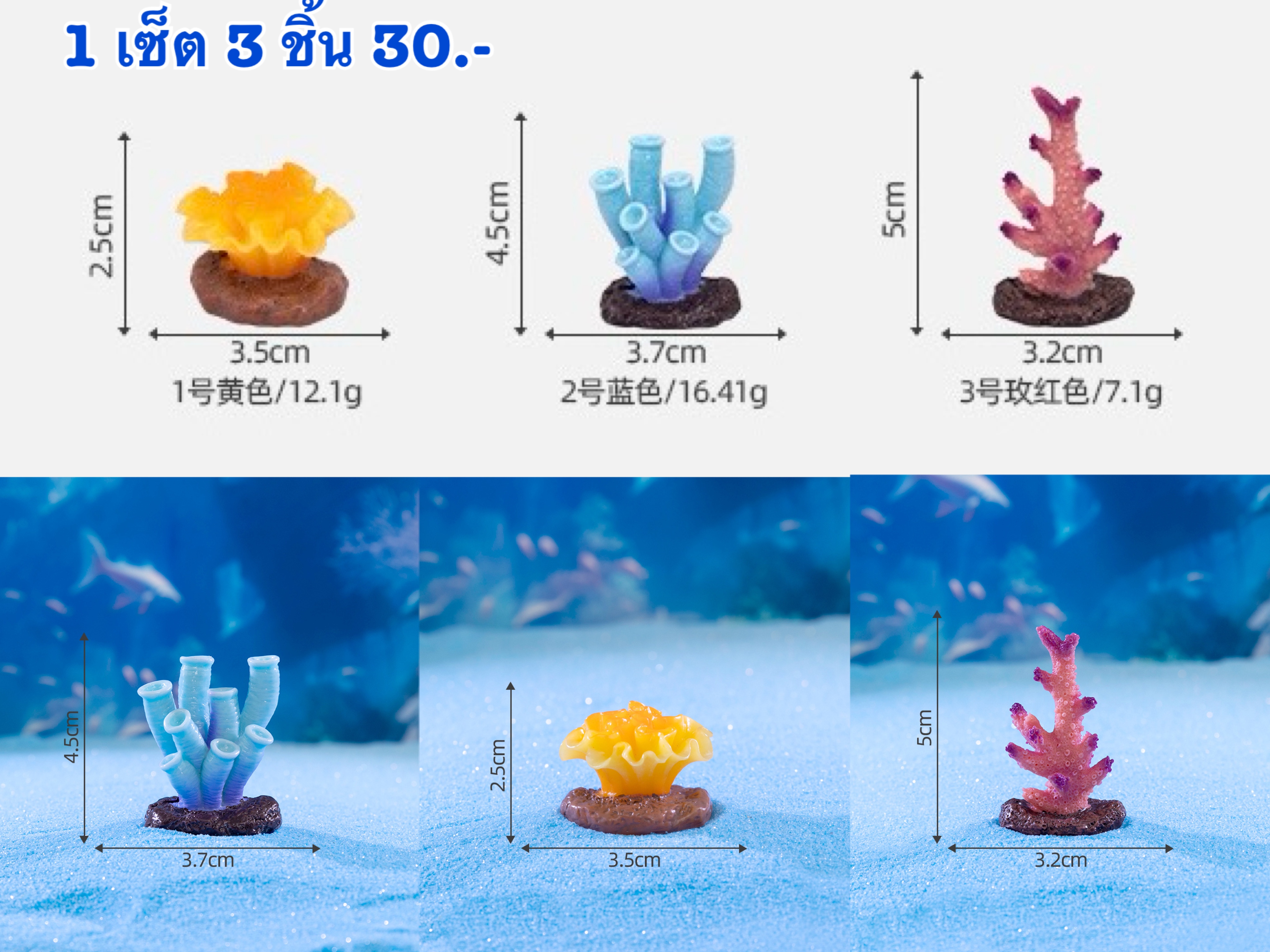 สาหร่ทเซ็ต 3 ชิ้น