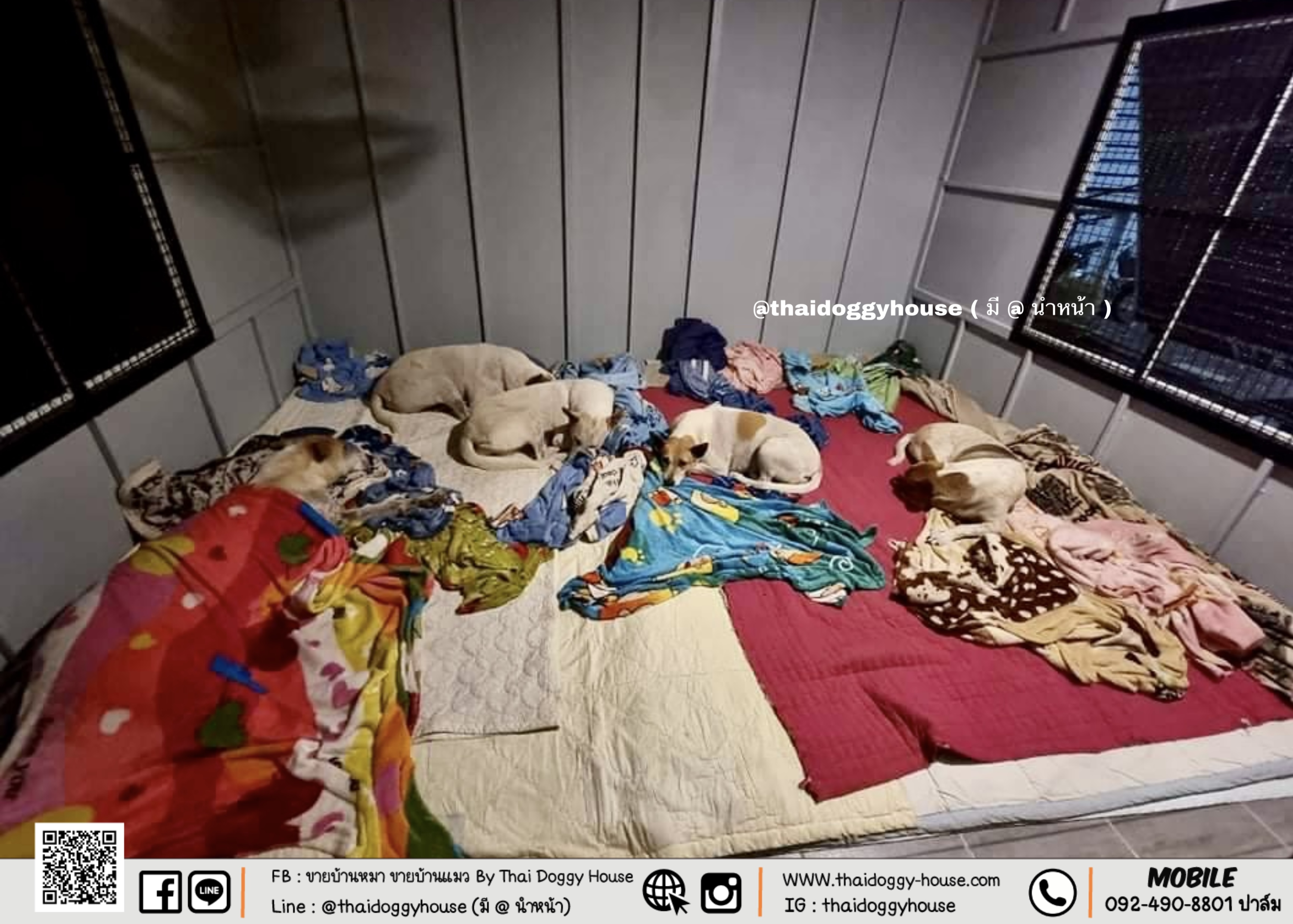 บ้านหมา บ้านแมว Box Style " ภายในกว้าง หลังใหญ่มาก ไม่อึดอัด พร้อมตะแกรงเหล็กดัด แถมมุ้งลวดให้ด้วยน้า น้องๆนอนสบายแน่นอน 🥰