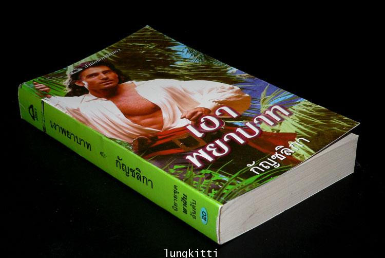 เงาพยาบาท (Night Shadow) / ลอร่า เรนเคน 013327