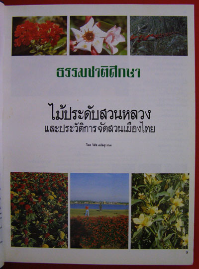 ไม้ประดับสวนหลวงและประวัติการจัดสวนเมืองไทย 002883 (1)