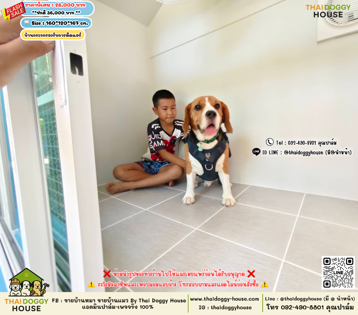 บ้านหมา บ้านแมว 𝐓𝐡𝐚𝐢 𝐝𝐨𝐠𝐠𝐲 𝐡𝐨𝐮𝐬𝗲