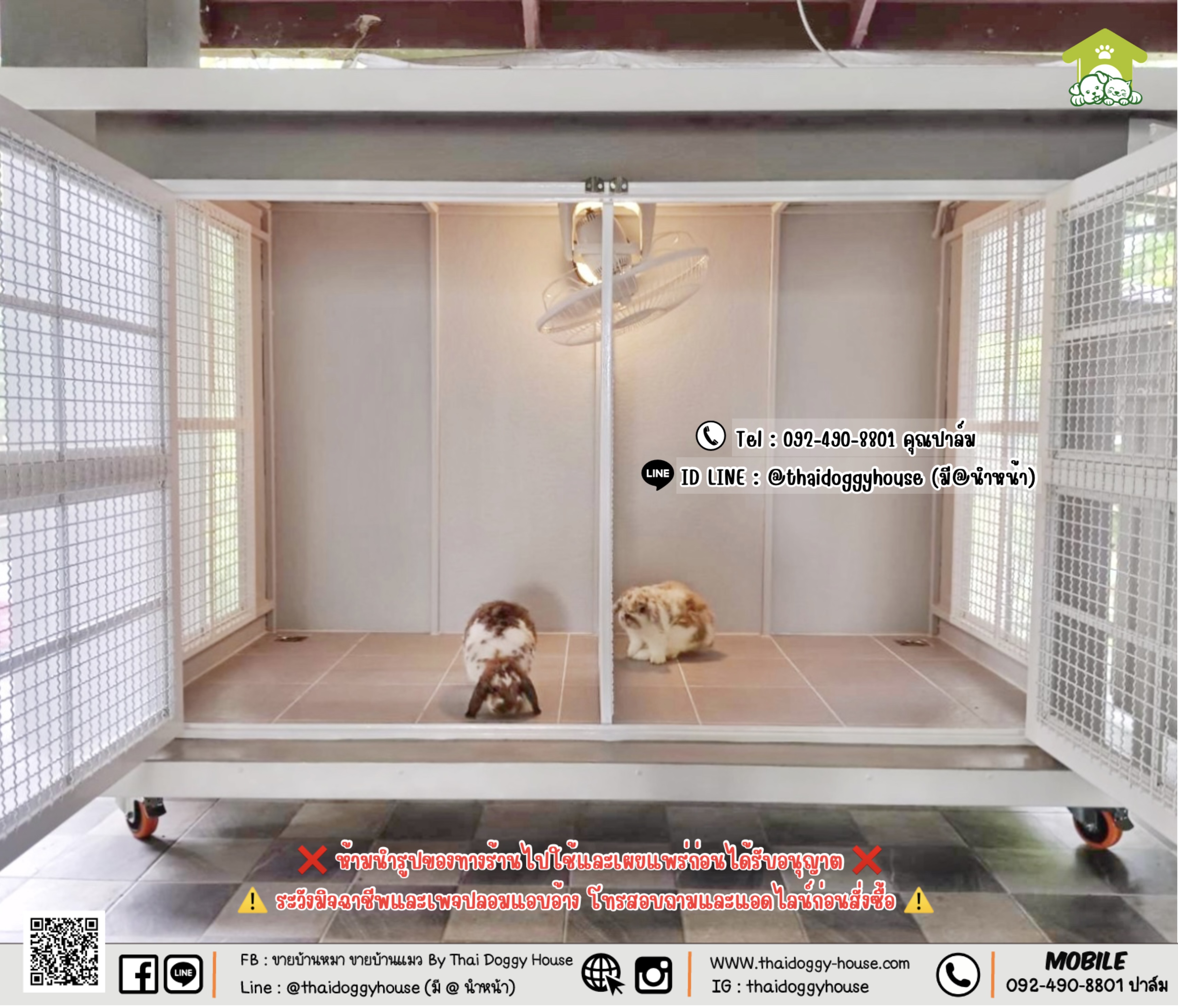 บ้านน้องกระต่าย 𝐓𝐡𝐚𝐢 𝐝𝐨𝐠𝐠𝐲 𝐡𝐨𝐮𝐬𝗲 🐰🐇