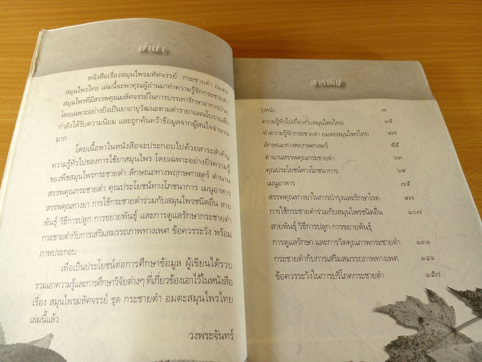 กระชายดำ อมตะสมุนไพรไทย