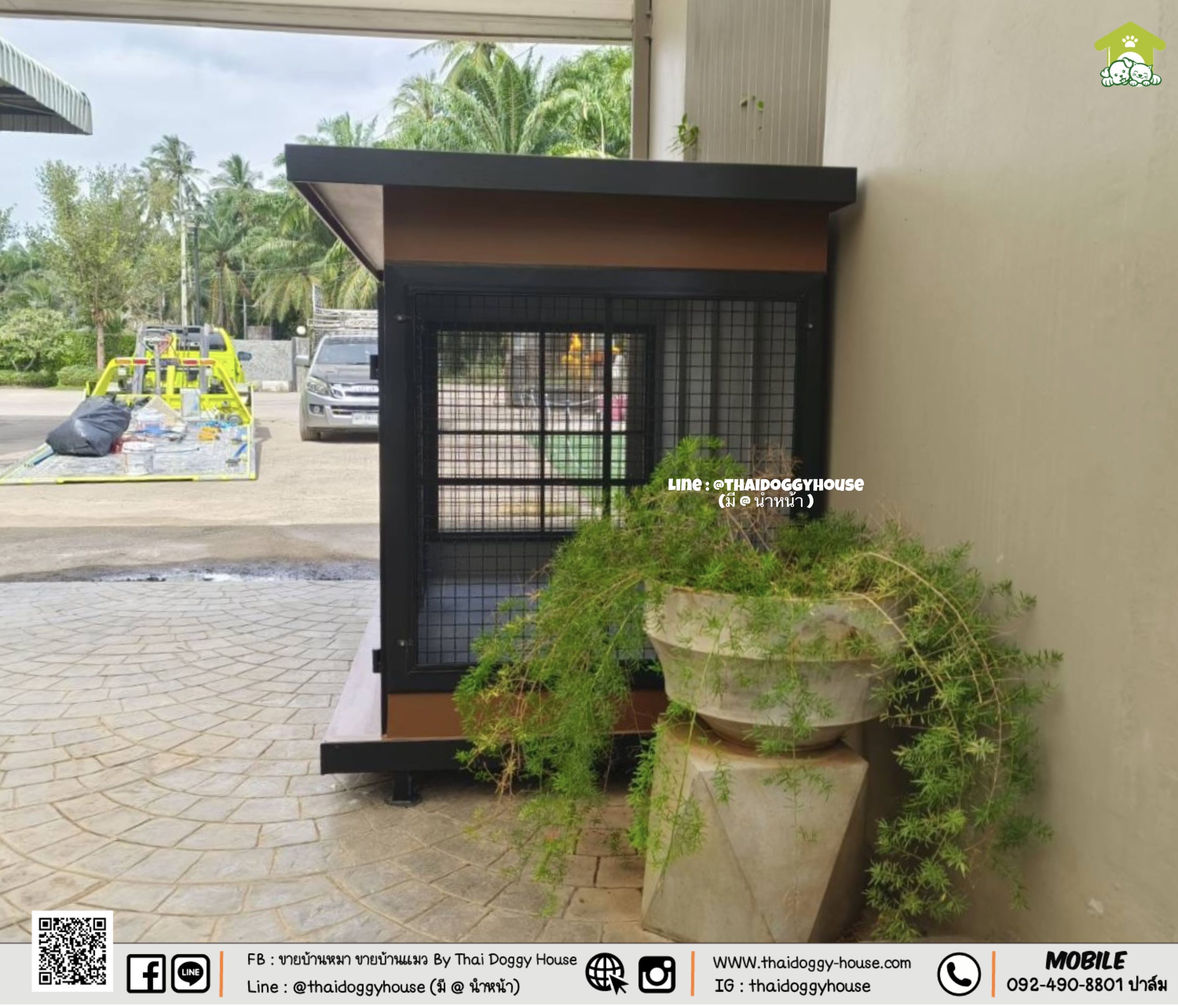 บ้านหมา บ้านแมว " 𝐁𝐎𝐗 𝐒𝐓𝐘𝐋𝐄 𝐁𝐘 𝐓𝐇𝐀𝐈 𝐃𝐎𝐆𝐆𝐘 𝐇𝐎𝐔𝐒𝐄 "พร้อ