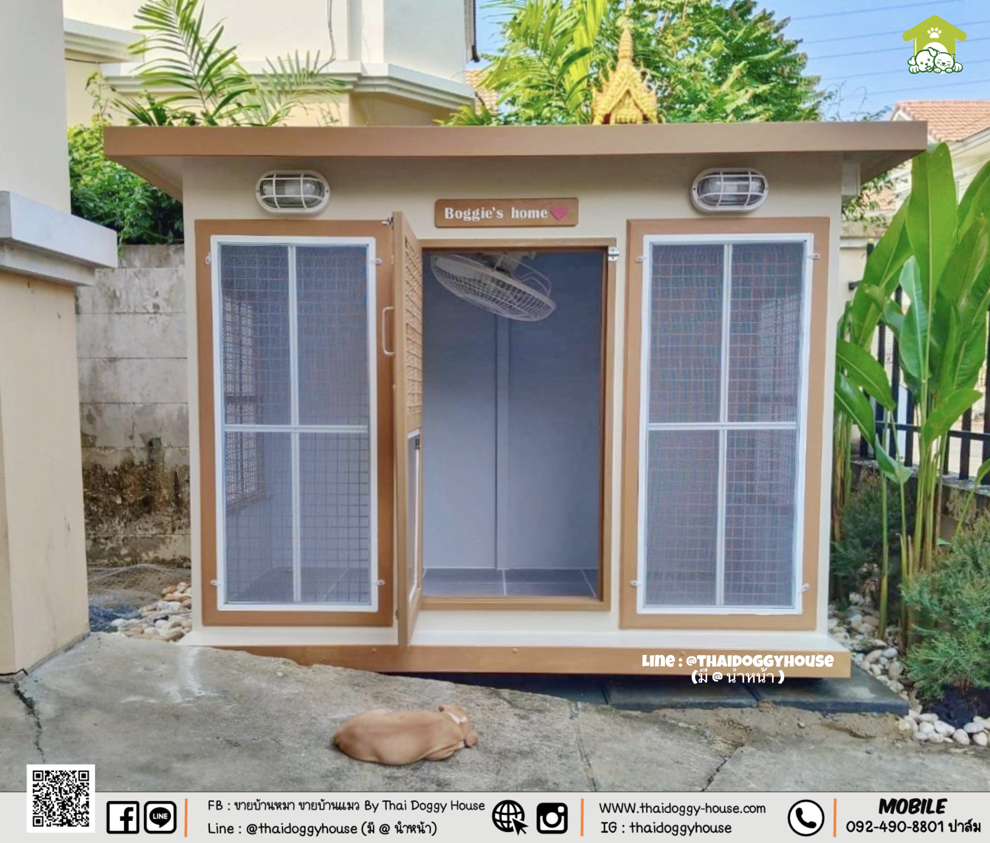 บ้านหมา บ้านแมว " 𝐁𝐎𝐗 𝐒𝐓𝐘𝐋𝐄 𝐁𝐘 𝐓𝐇𝐀𝐈 𝐃𝐎𝐆𝐆𝐘 𝐇𝐎𝐔𝐒𝐄 "