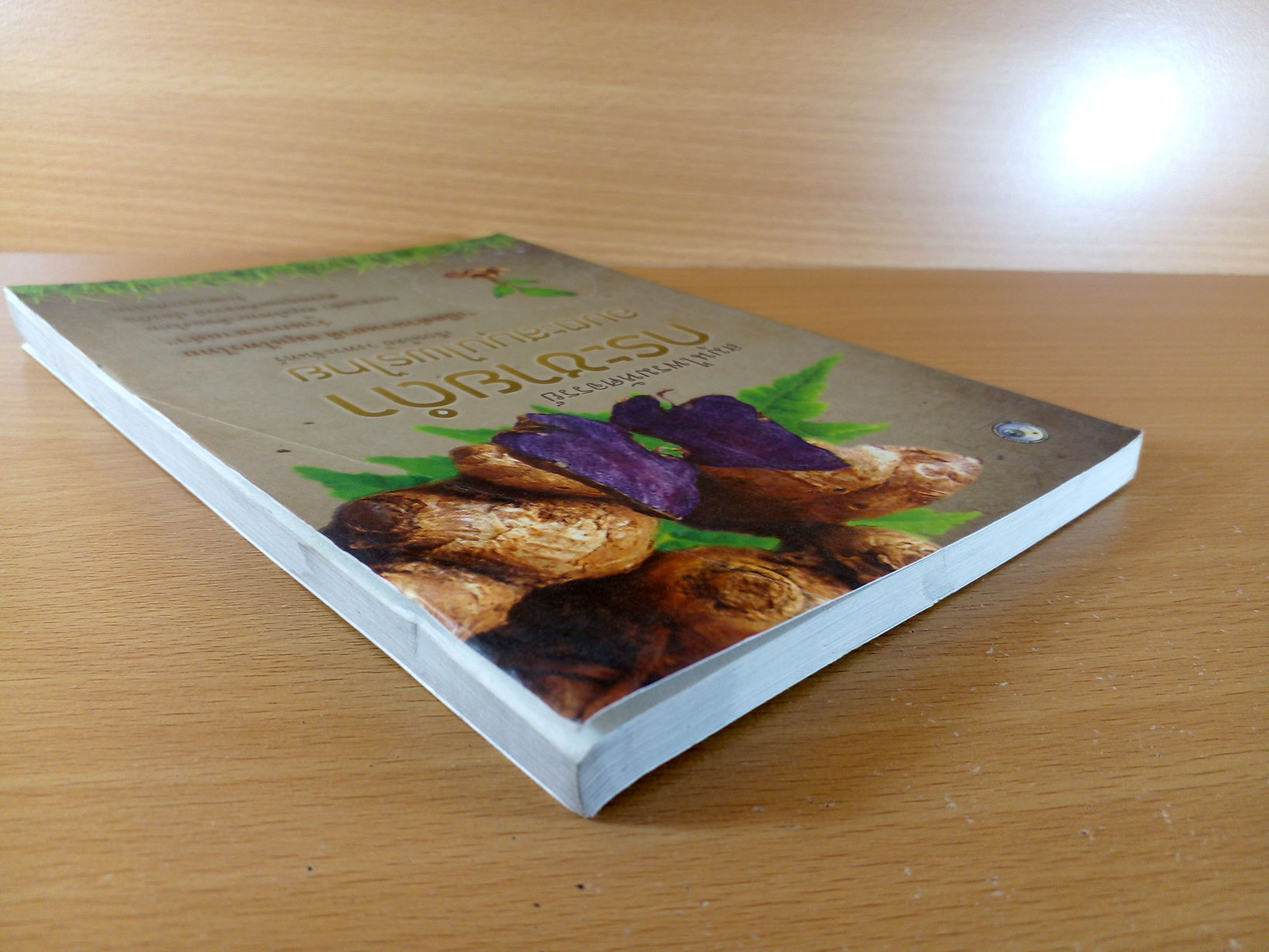 กระชายดำ อมตะสมุนไพรไทย