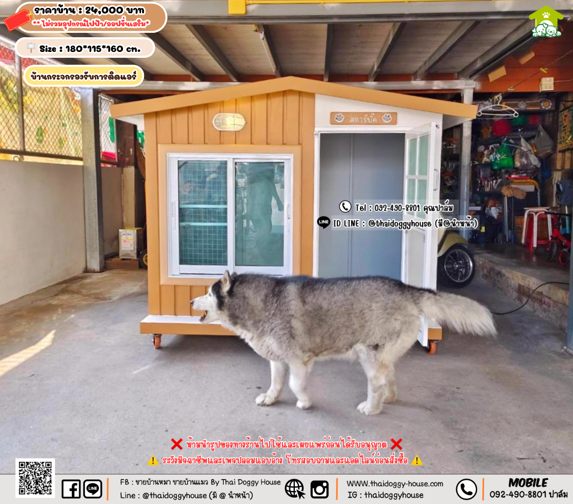 บ้านหมา บ้านแมว 𝐓𝐡𝐚𝐢 𝐝𝐨𝐠𝐠𝐲 𝐡𝐨𝐮𝐬𝗲