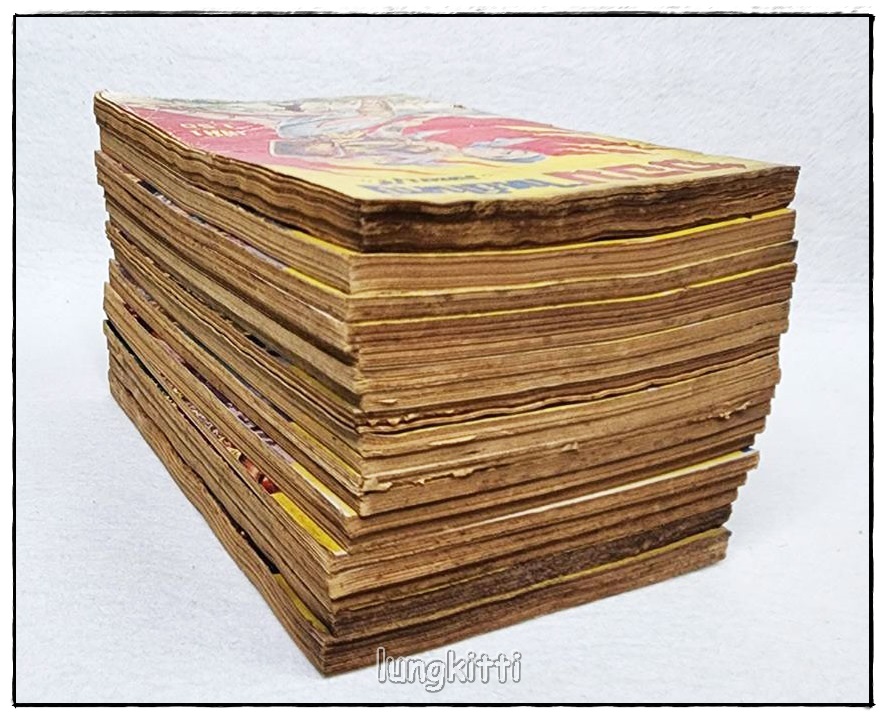 จอมไทยใหญ่ (1-19 จบ) / ลพบุรี SKU-10055 2