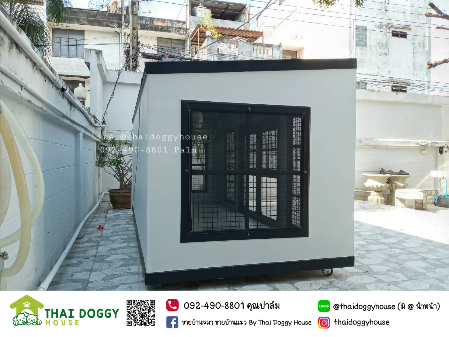 บ้านหมา บ้านแมว บ้านน็อคดาวน์ บ้านสัตว์เลี้ยง แบบพัดลมมีตะแกรงเหล็ก มุ้งลวดทุกหลัง By Thai Doggy House