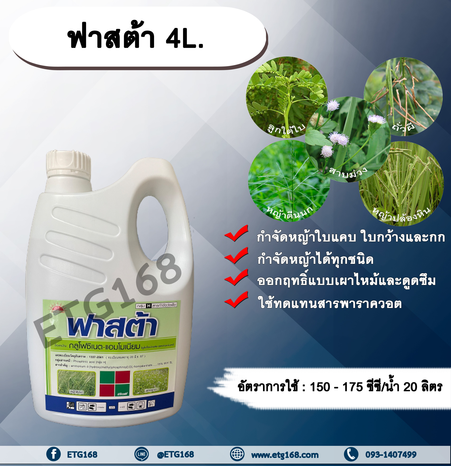 ฟาสต้า 4L. กลูโฟซิเนตแอมโมเนียม สารกำจัดวัชพืช กำจัดหญ้าใบแคบ ใบกว้าง กก หญ้าทุกชนิด