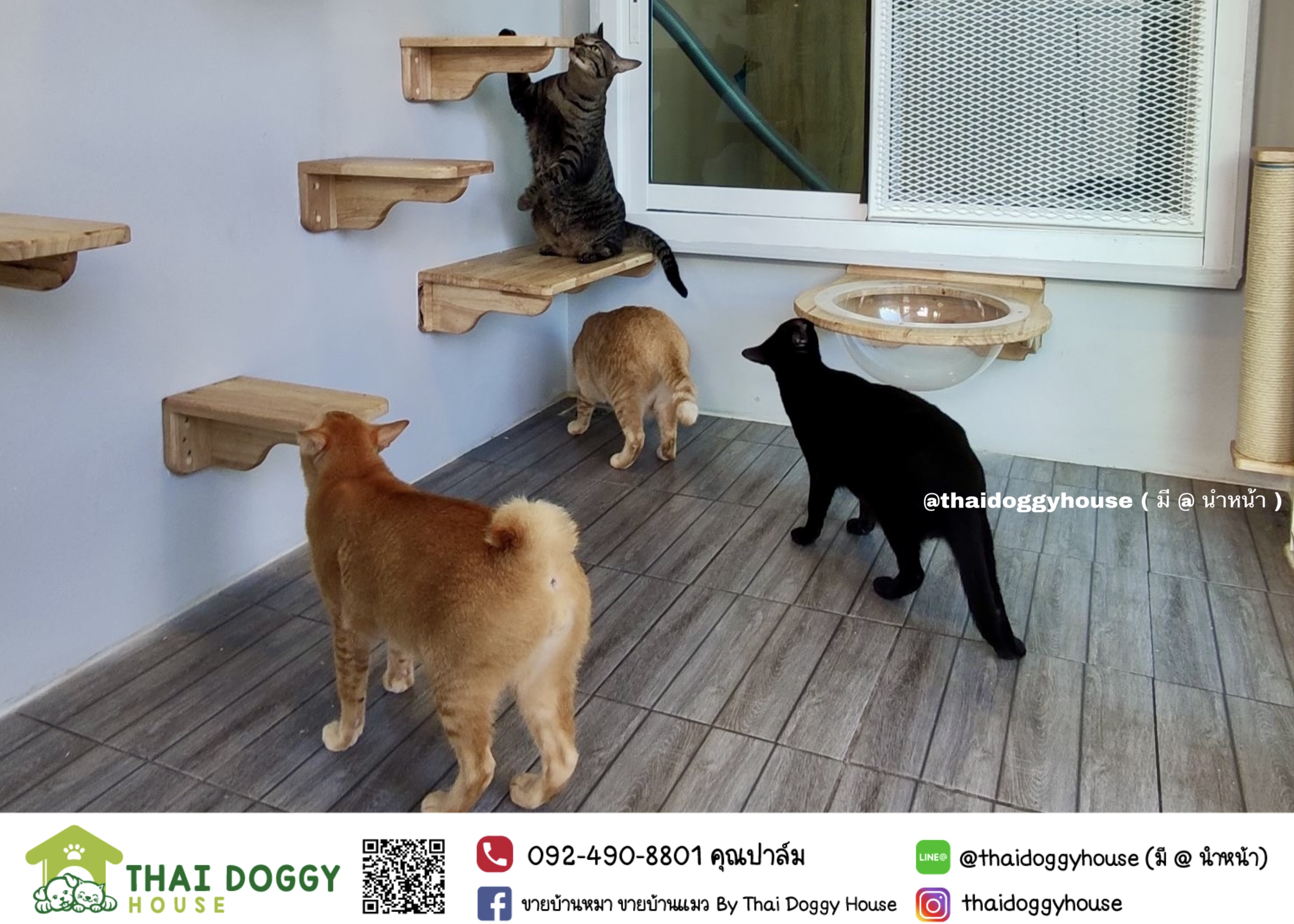 บ้านน้องแมว " Modern Style " รองรับการติดแอร์