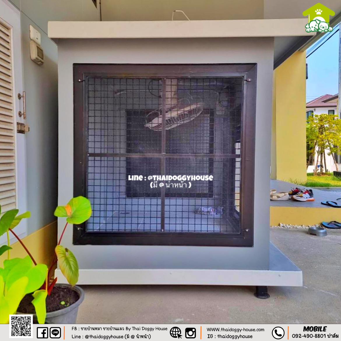 🏡 บ้านหมา บ้านแมว " 𝐁𝐎𝐗 𝐒𝐓𝐘𝐋𝐄 𝐁𝐘 𝐓𝐇𝐀𝐈 𝐃𝐎𝐆𝐆𝐘 𝐇𝐎𝐔𝐒𝐄